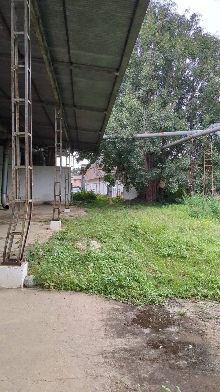 Canara Bank Auctions for Industrials property in Haveri, Karnataka image 4 of 6 in Byadgi, Haveri | Canara Bank auction property
