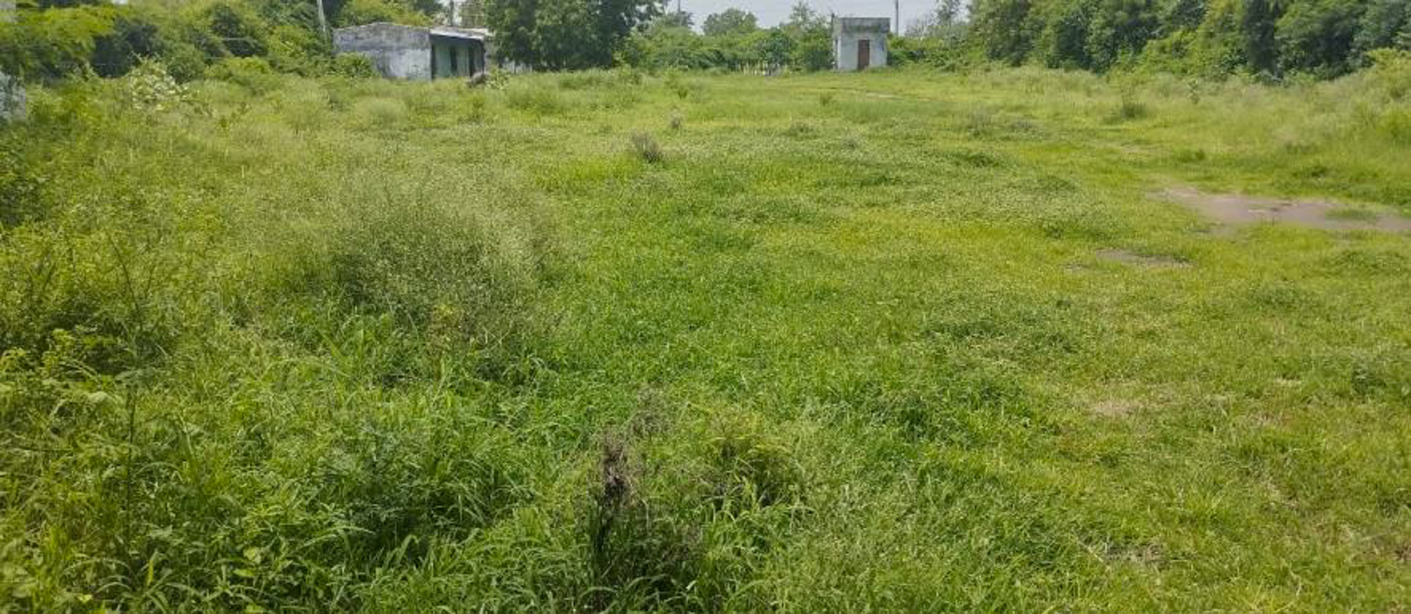 Central Bank of India Auctions for Industrials property in Kheda, Gujarat image 6 of 13 in Limbasi, Kheda | Central Bank of India auction property