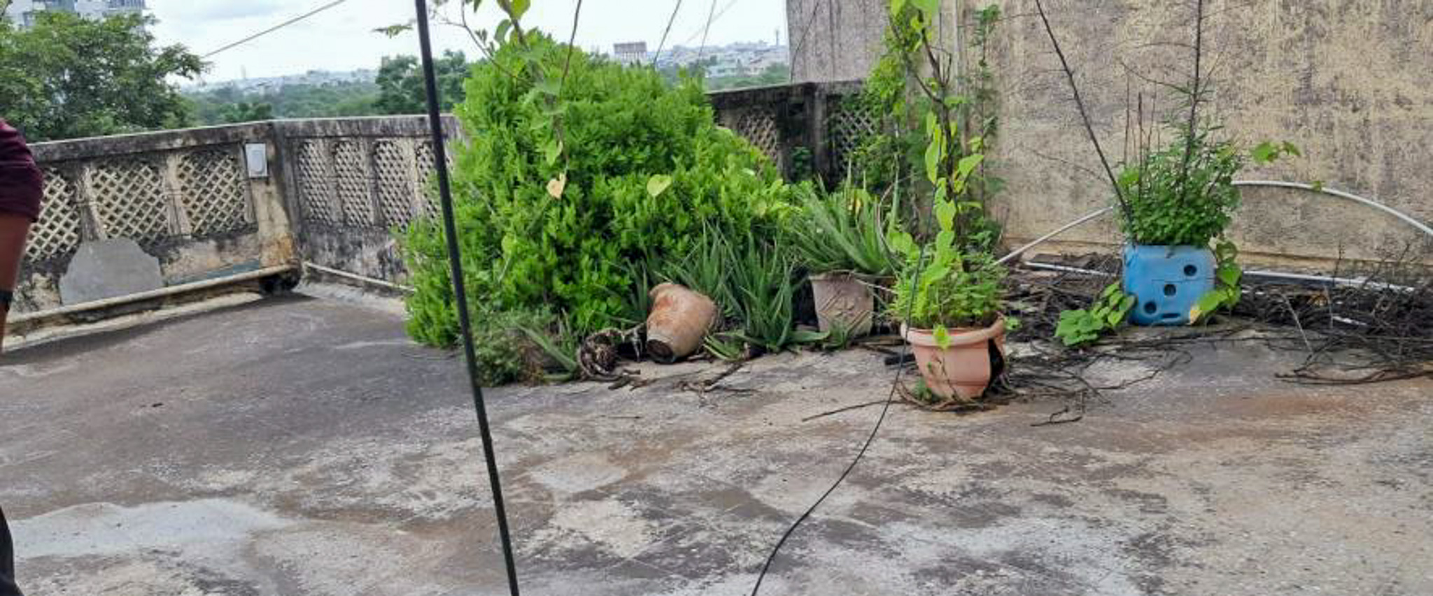 Punjab National Bank Auctions for Residential property in Nagpur, Maharashtra image 16 of 18 in Nagpur, Nagpur | Punjab National Bank auction property