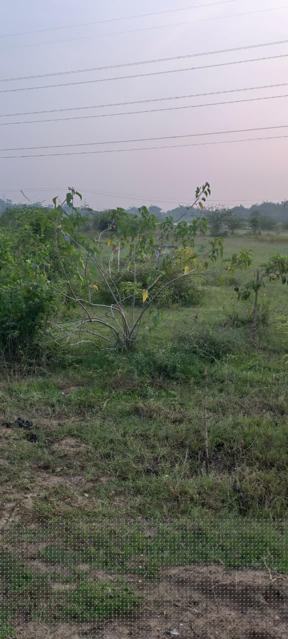 Bank of Baroda Auctions for Residential property in Chennai, Tamil Nadu image 2 of 5 in Chennai, Chennai | Bank of Baroda auction property