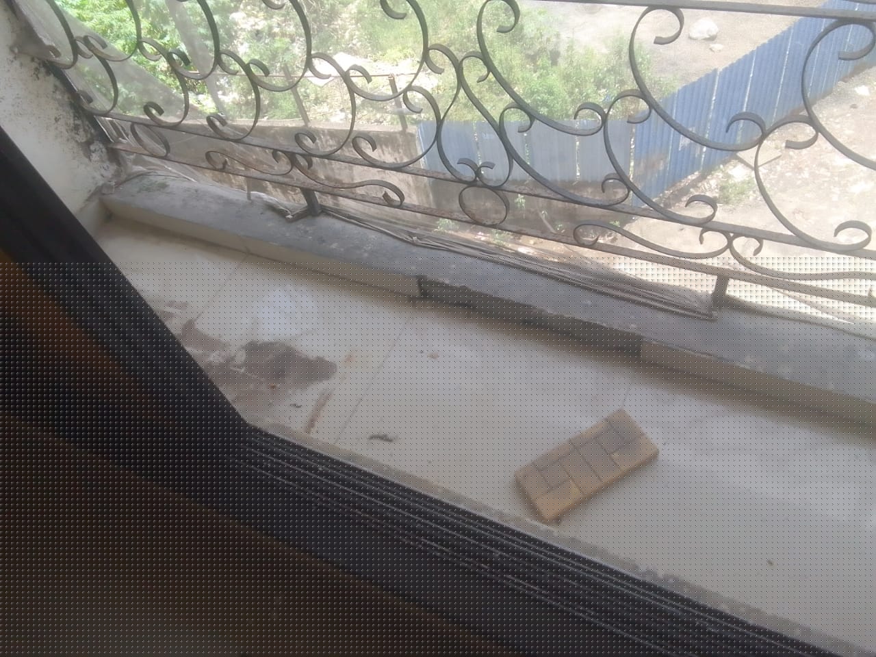 Canara Bank Auctions for Residential property in Palghar, Maharashtra image 14 of 15 in Vasai Virar, Palghar | Canara Bank auction property