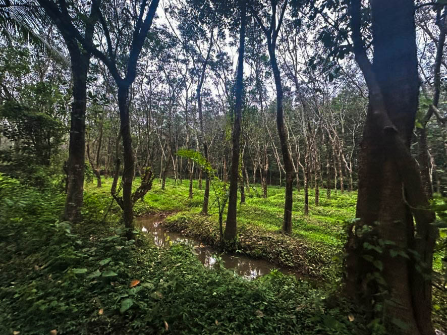 Canara Bank Auctions for Residential property in Thrissur, Kerala image 5 of 22 in Karamuck, Thrissur | Canara Bank auction property