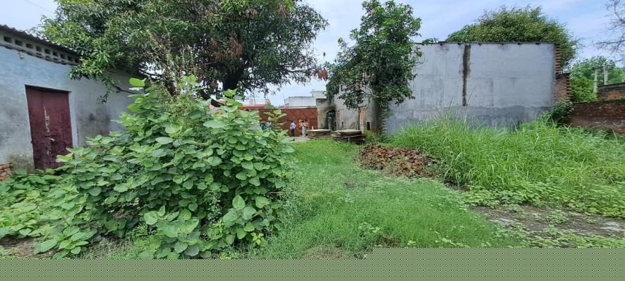 State Bank of India Auctions for Industrials property in Haridwar, Uttarakhand image 13 of 17 in Mehwar Kalan, Haridwar | State Bank of India auction property