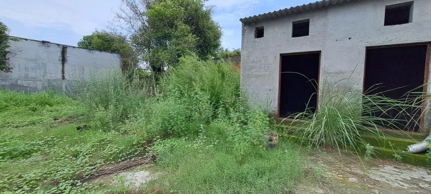 State Bank of India Auctions for Industrials property in Haridwar, Uttarakhand image 16 of 17 in Mehwar Kalan, Haridwar | State Bank of India auction property