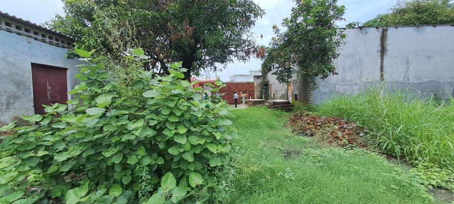 State Bank of India Auctions for Industrials property in Haridwar, Uttarakhand image 2 of 17 in Mehwar Kalan, Haridwar | State Bank of India auction property