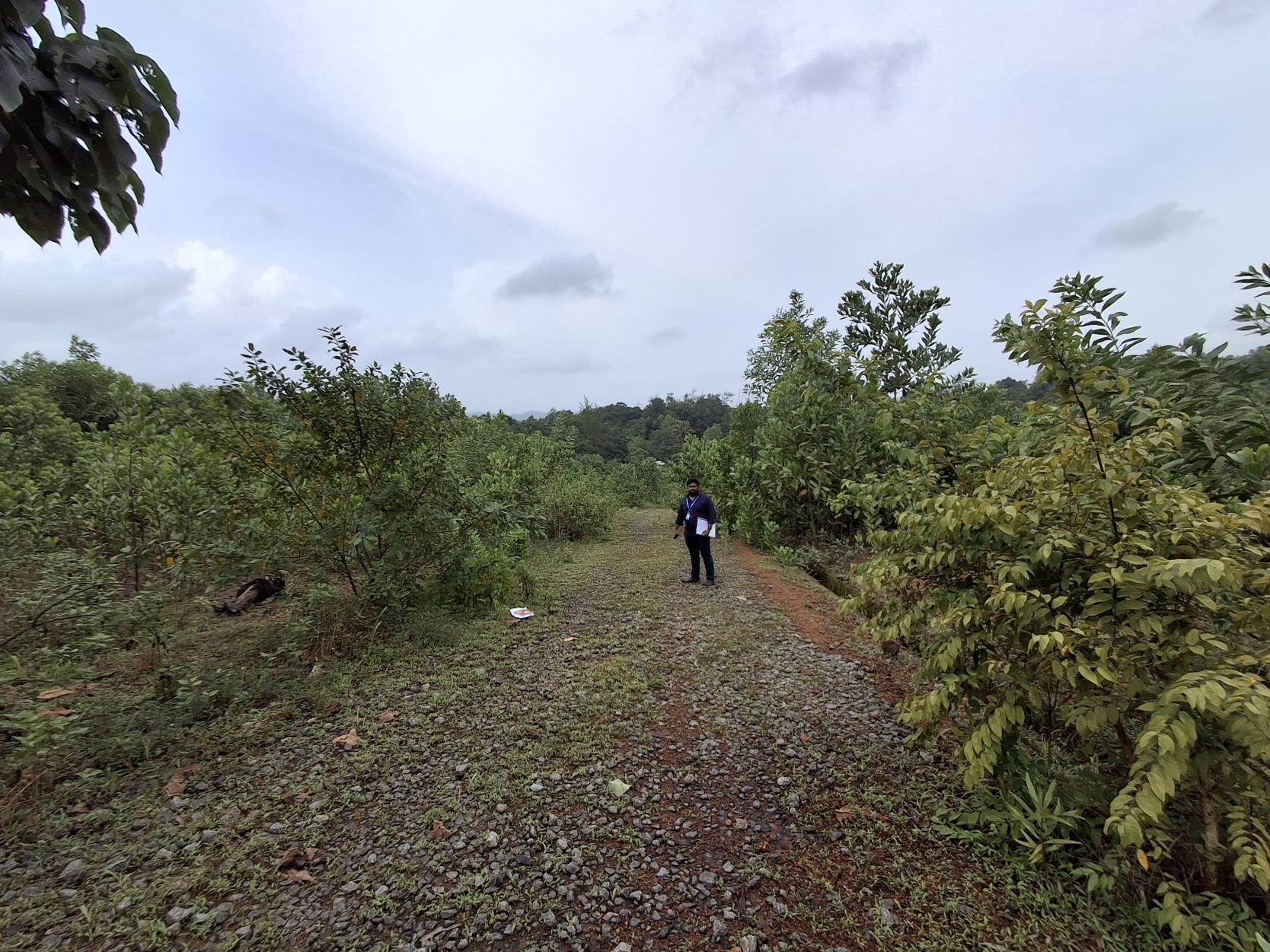 Bank of India Auctions for Residential property in Nalbari, Assam image 2 of 2 in Nalbari, Nalbari | Bank of India auction property