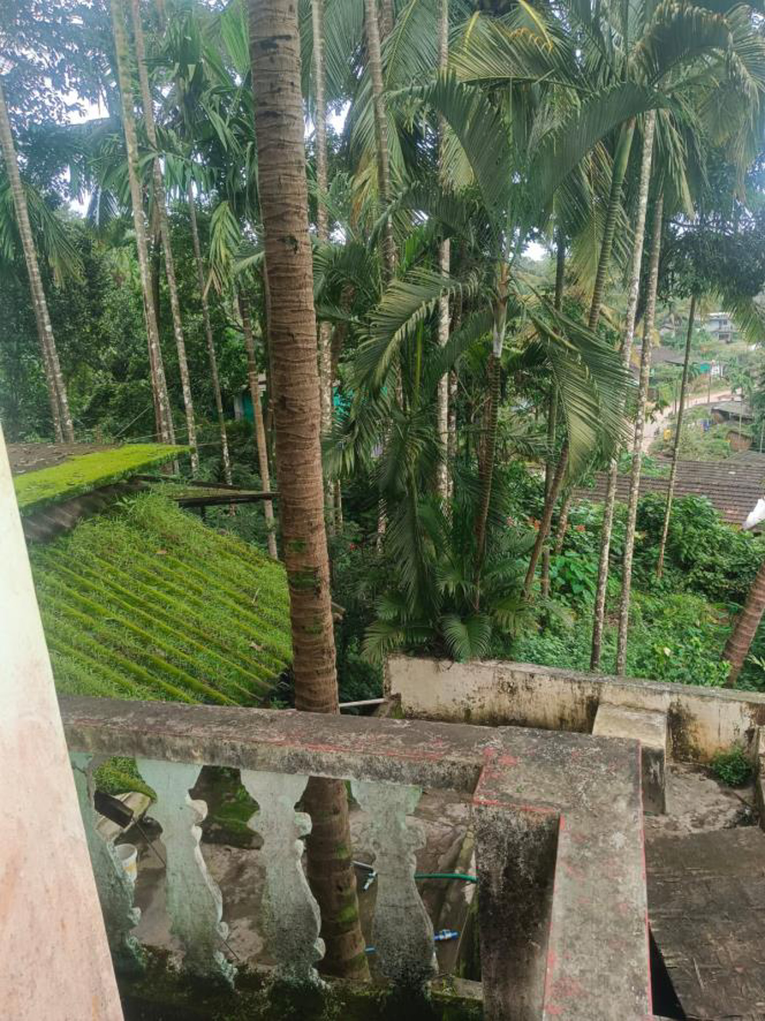 Canara Bank Auctions for Residential property in Shivamogga, Karnataka image 2 of 21 in Sagar, Shivamogga | Canara Bank auction property