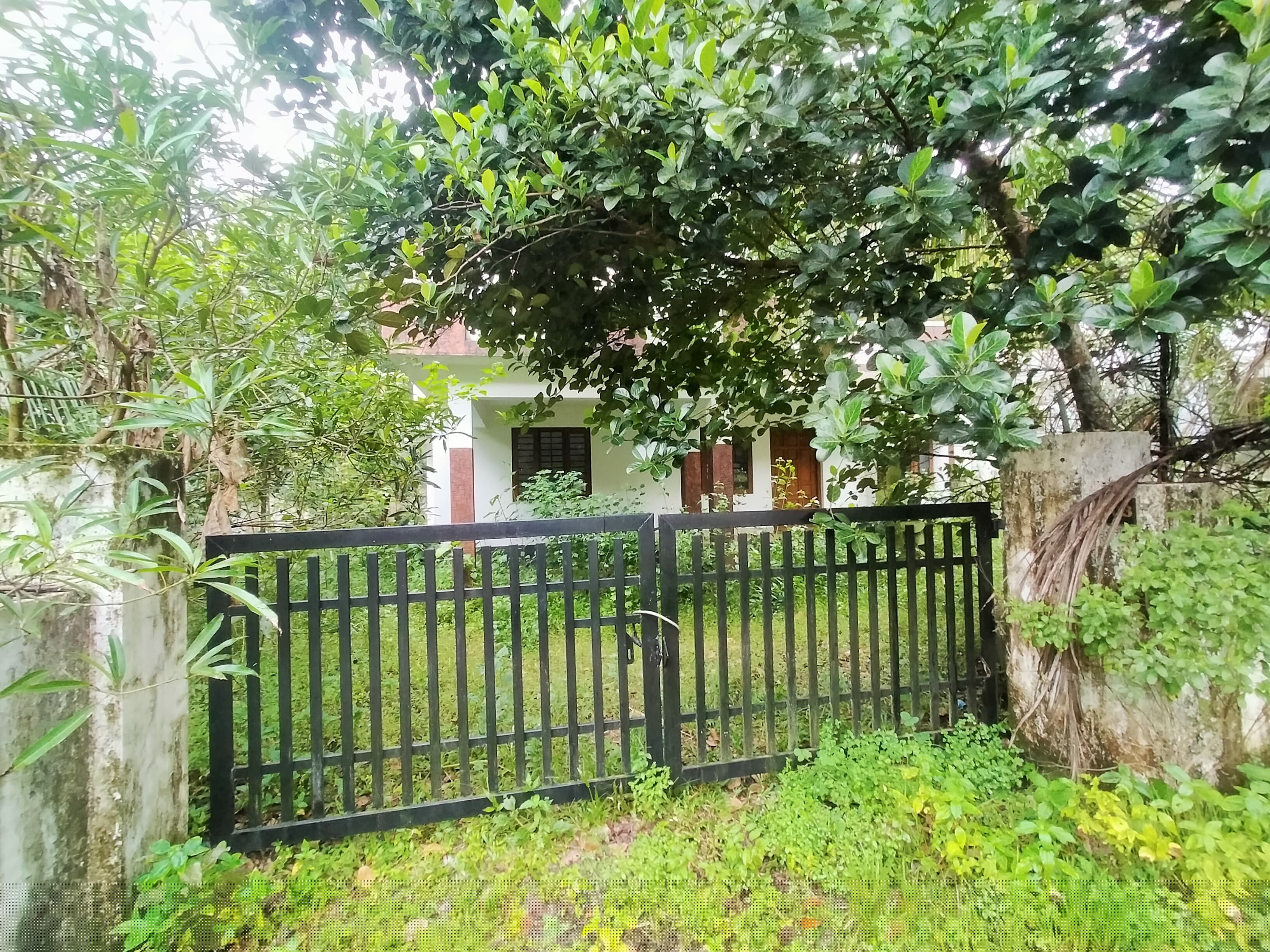 Bank of Baroda Auctions for Residential property in Kannur, Kerala image 2 of 4 in Kurumathur, Kannur | Bank of Baroda auction property