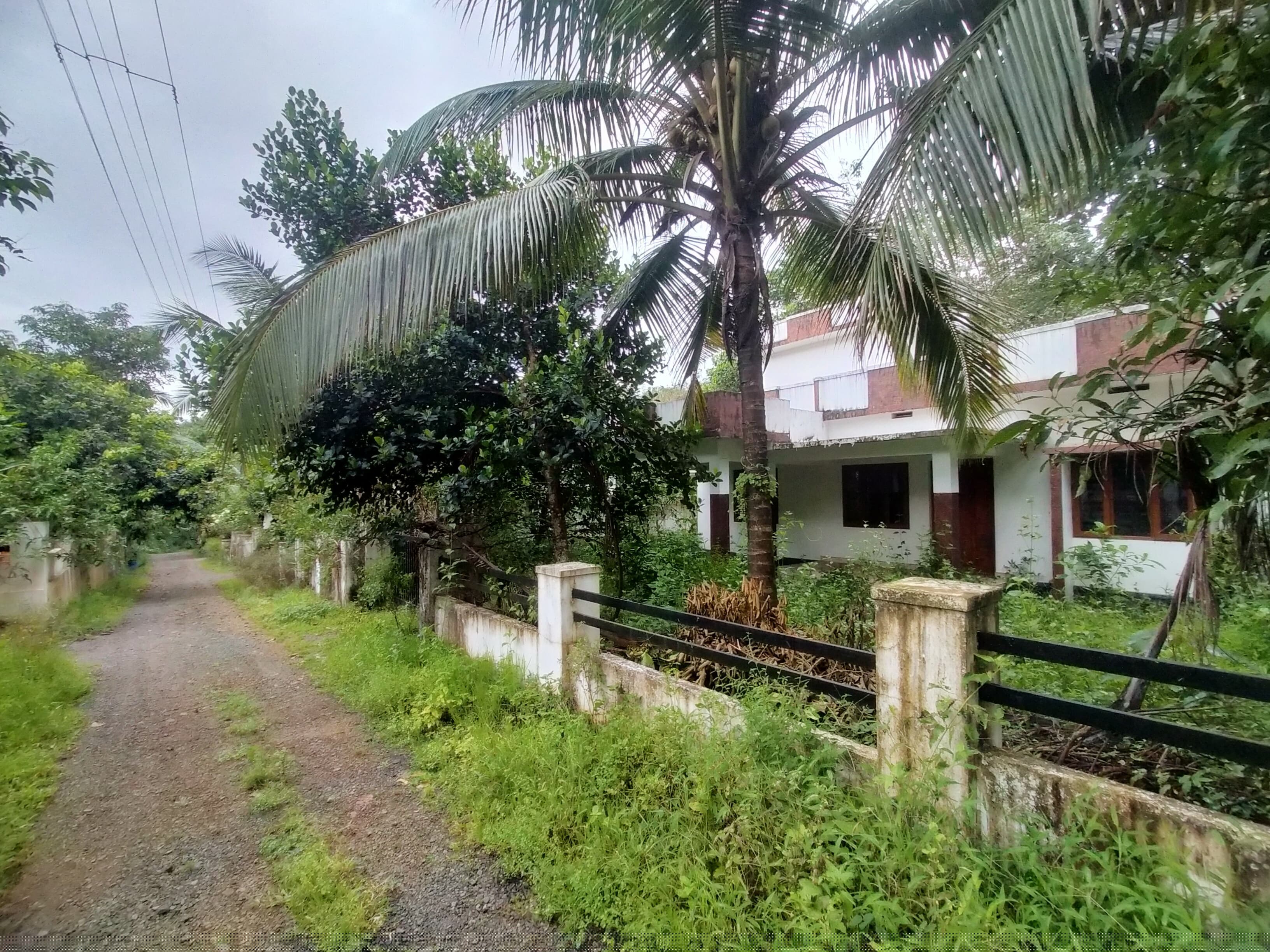 Bank of Baroda Auctions for Residential property in Kannur, Kerala image 3 of 4 in Kurumathur, Kannur | Bank of Baroda auction property