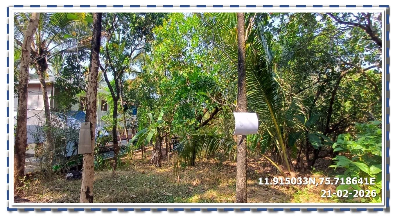 Bank of Baroda Auctions for Residential property in Kannur, Kerala image 2 of 5 in Iritty, Kannur | Bank of Baroda auction property