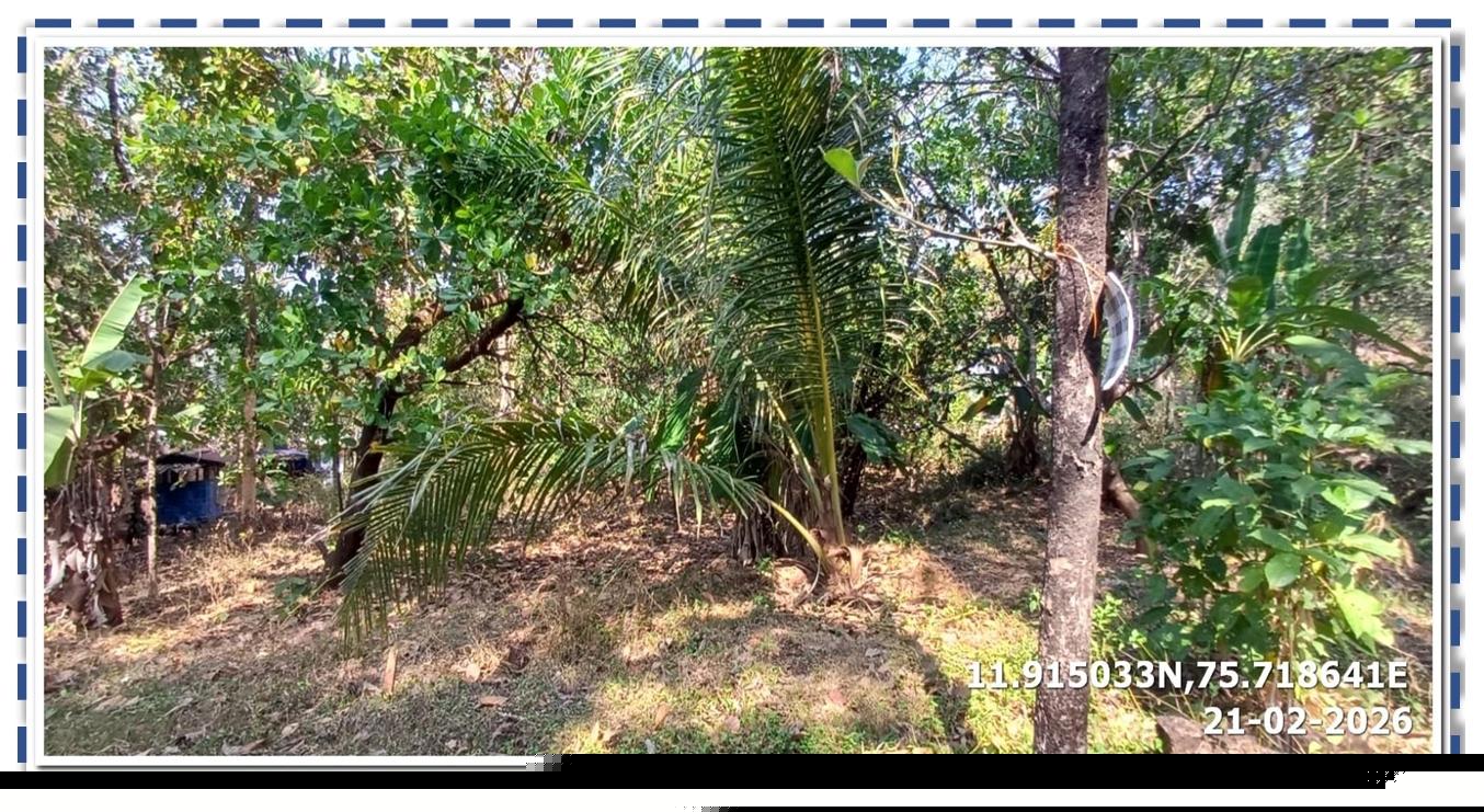 Bank of Baroda Auctions for Residential property in Kannur, Kerala image 4 of 5 in Iritty, Kannur | Bank of Baroda auction property