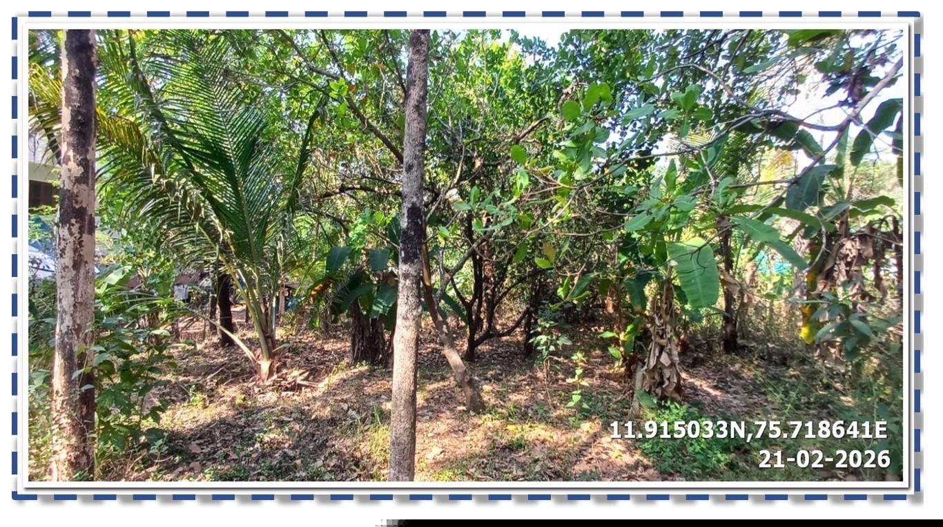 Bank of Baroda Auctions for Residential property in Kannur, Kerala image 5 of 5 in Iritty, Kannur | Bank of Baroda auction property