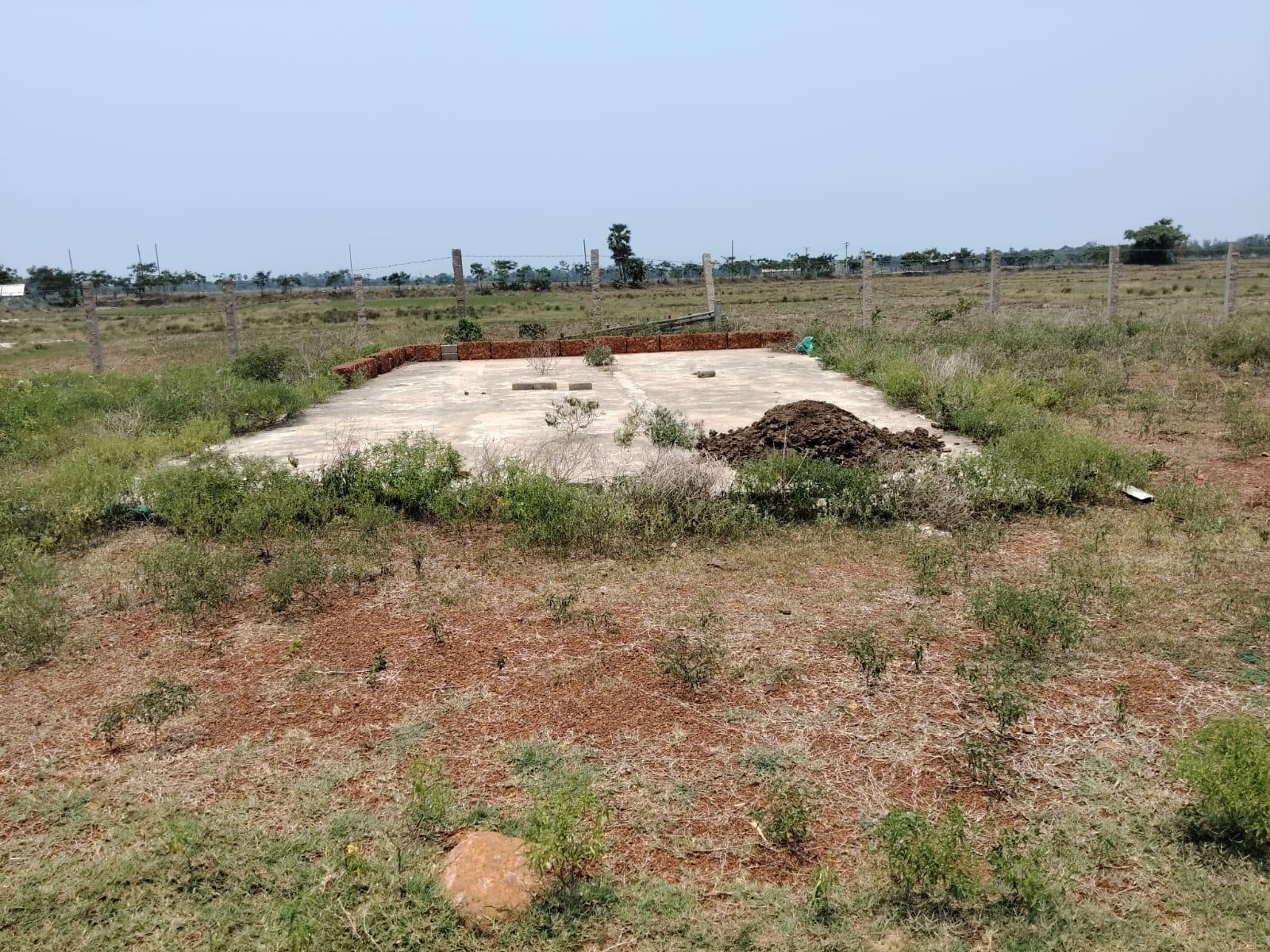 Bank of India Auctions for Industrials property in Puri, Odisha image 4 of 6 in Puri, Puri | Bank of India auction property