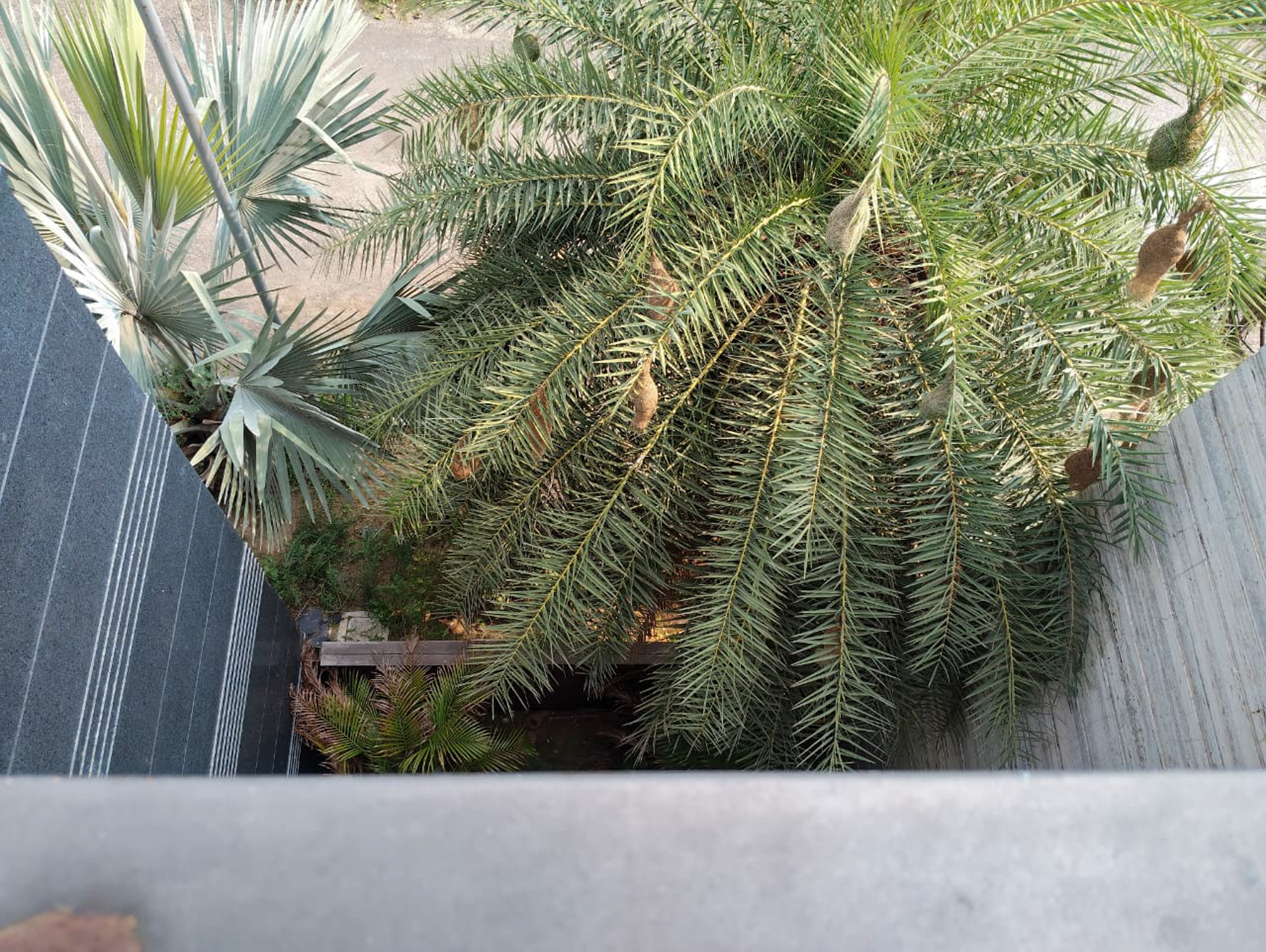 Canara Bank Auctions for Residential property in Jalandhar, Punjab image 28 of 38 in Jalandhar, Jalandhar | Canara Bank auction property