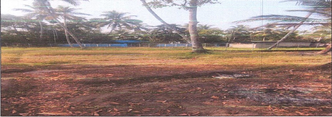 Indian Overseas Bank Auctions for Residential property in Alappuzha, Kerala image 2 of 3 in Kandalloor, Alappuzha | Indian Overseas Bank auction property