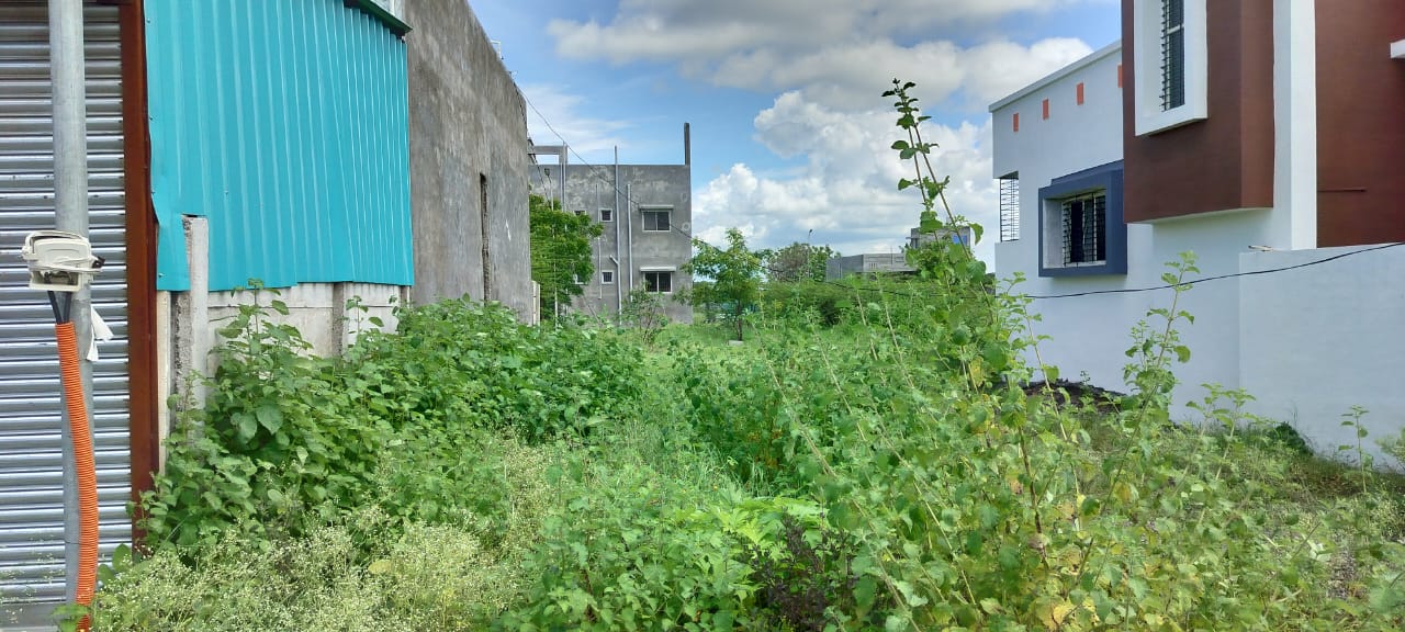 Bank of Maharashtra Auctions for Residential property in Solapur, Maharashtra image 6 of 12 in Solapur, Solapur | Bank of Maharashtra auction property