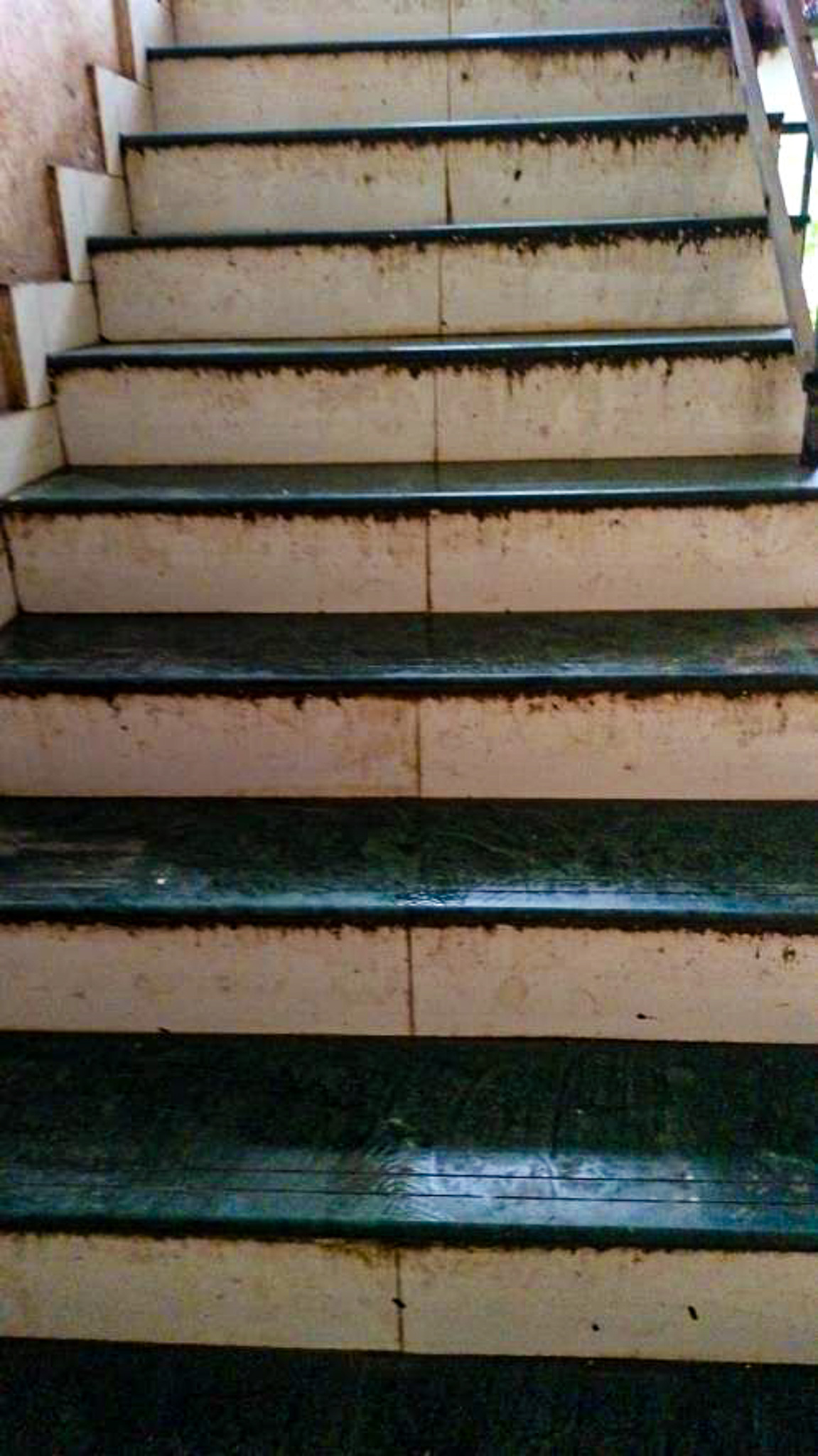 Bank of India Auctions for Residential property in Palghar, Maharashtra image 4 of 20 in Vasai Virar, Palghar | Bank of India auction property
