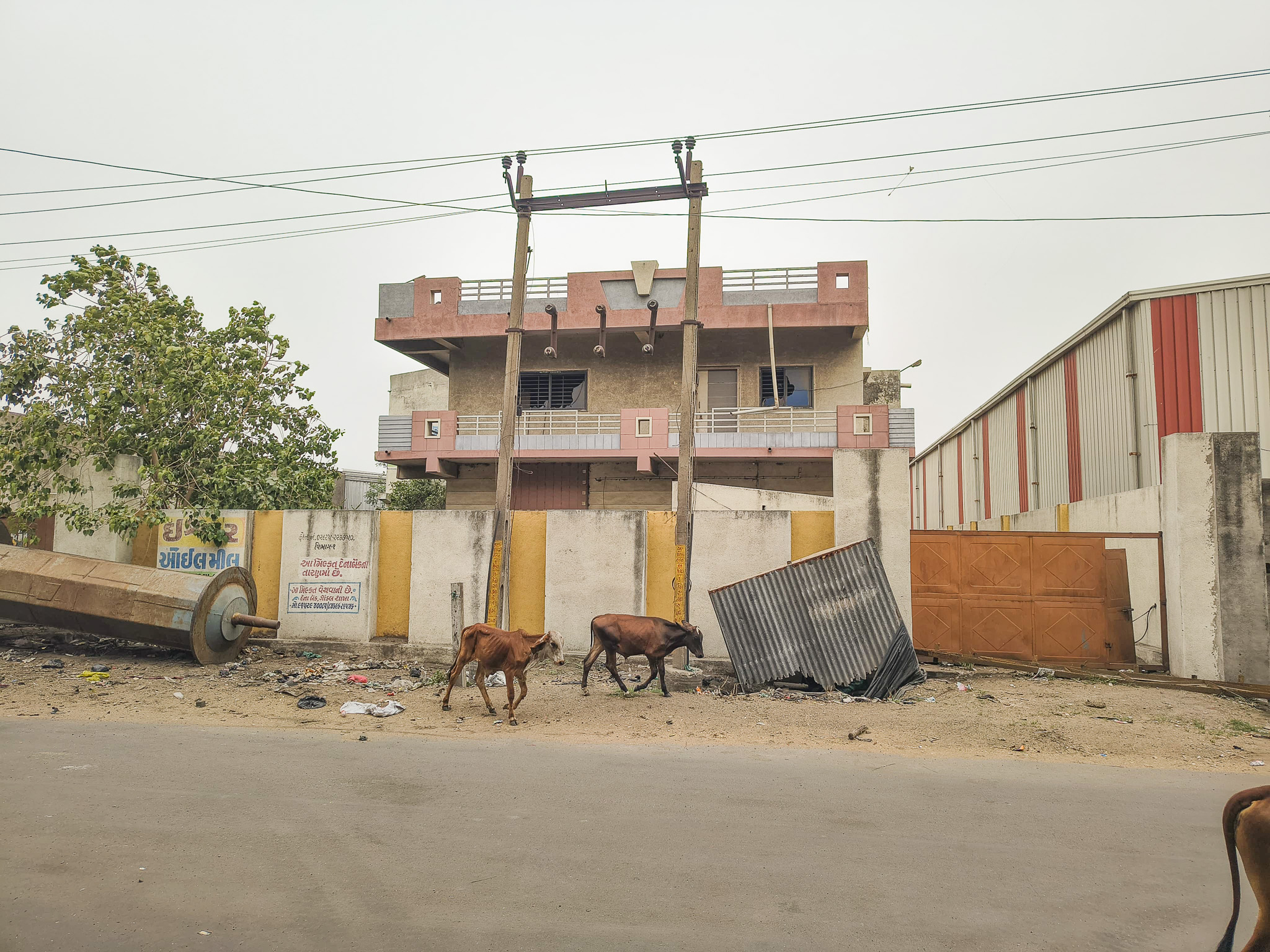 Bank of Baroda Auctions for Industrials property in Rajkot, Gujarat image 10 of 12 in Gondal, Rajkot | Bank of Baroda auction property