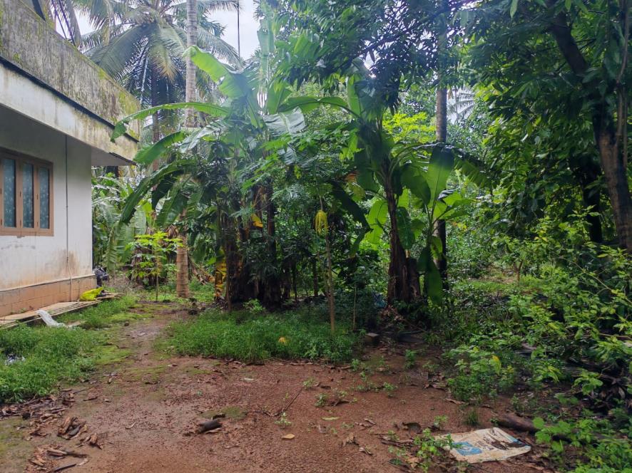 State Bank of India Auctions for Residential property in Thrissur, Kerala image 21 of 33 in Thrissur, Thrissur | State Bank of India auction property