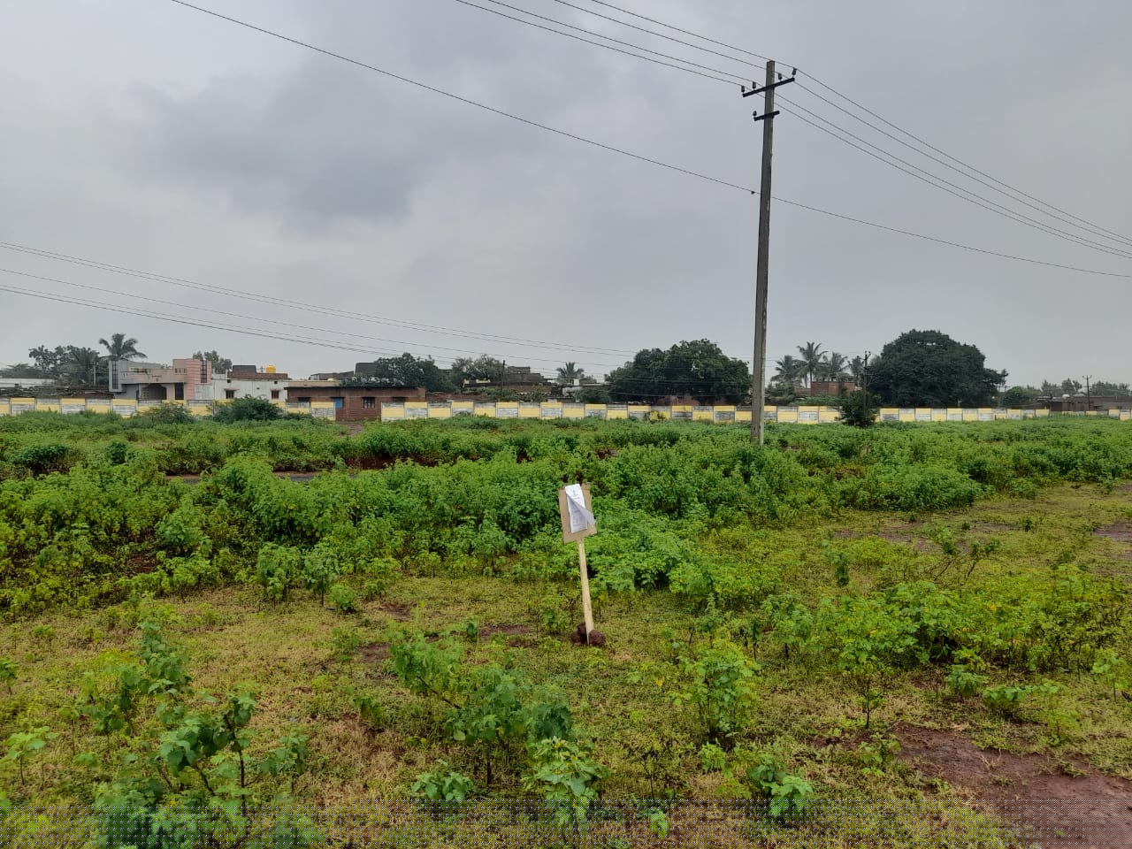 Indian Overseas Bank Auctions for Residential property in Bidar, Karnataka image 12 of 12 in Bidar, Bidar | Indian Overseas Bank auction property