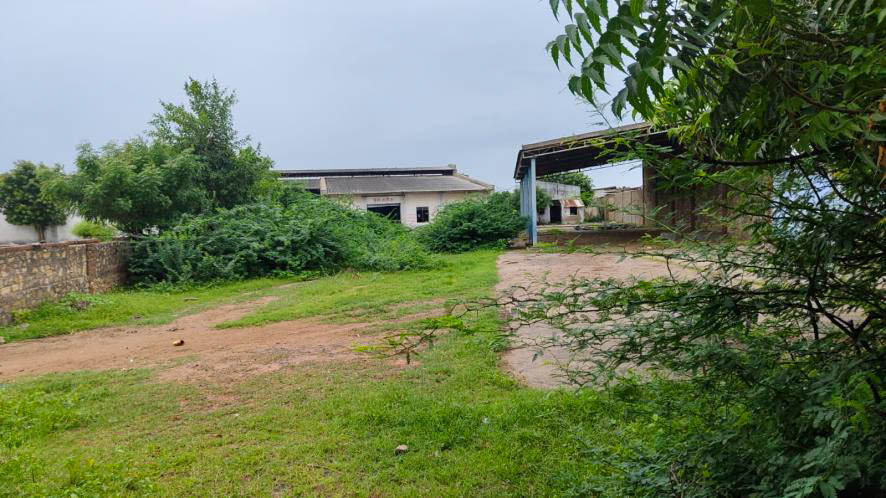 Bank of India Auctions for Industrials property in Surendranagar, Gujarat image 3 of 20 in Sarla, Surendranagar | Bank of India auction property