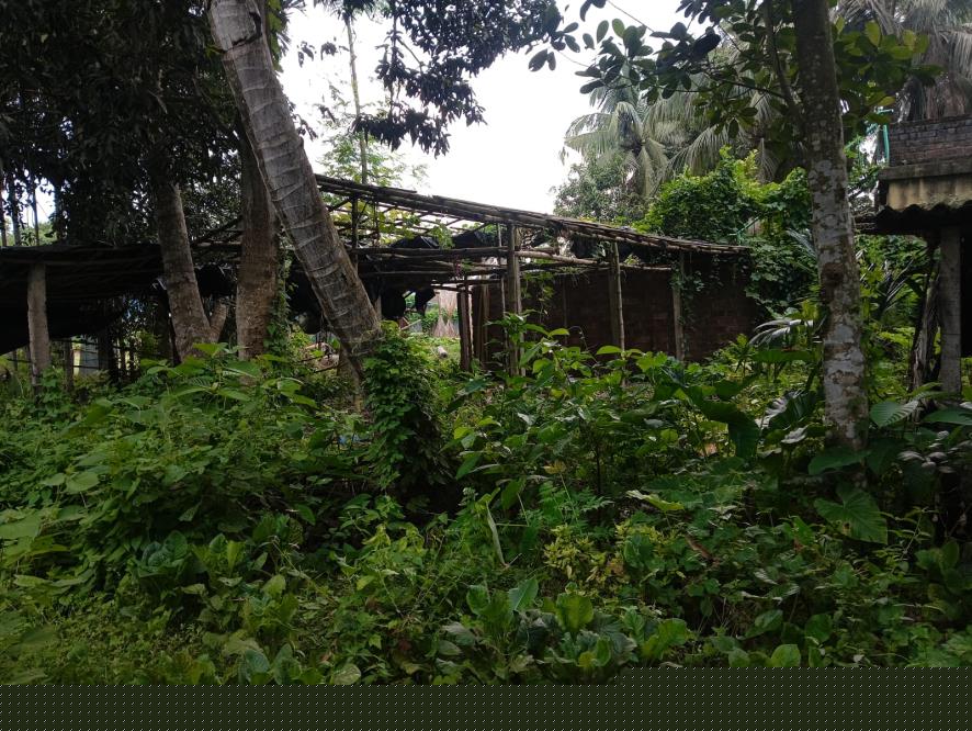Canara Bank Auctions for Residential property in Nadia, West Bengal image 12 of 15 in Badkulla, Nadia | Canara Bank auction property