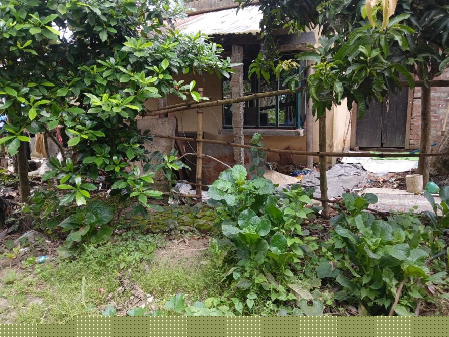 Canara Bank Auctions for Residential property in Nadia, West Bengal image 13 of 15 in Badkulla, Nadia | Canara Bank auction property