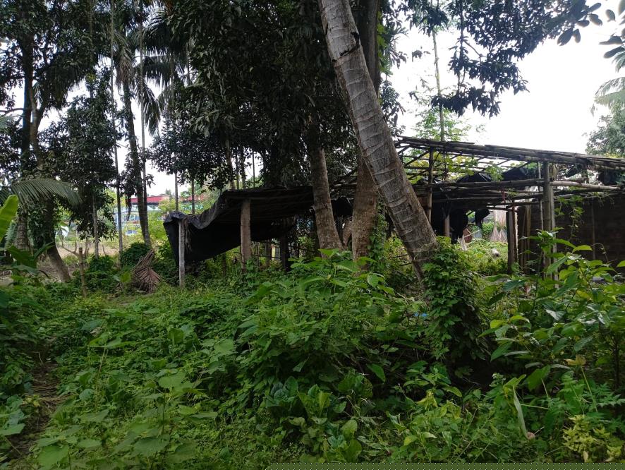 Canara Bank Auctions for Residential property in Nadia, West Bengal image 2 of 15 in Badkulla, Nadia | Canara Bank auction property