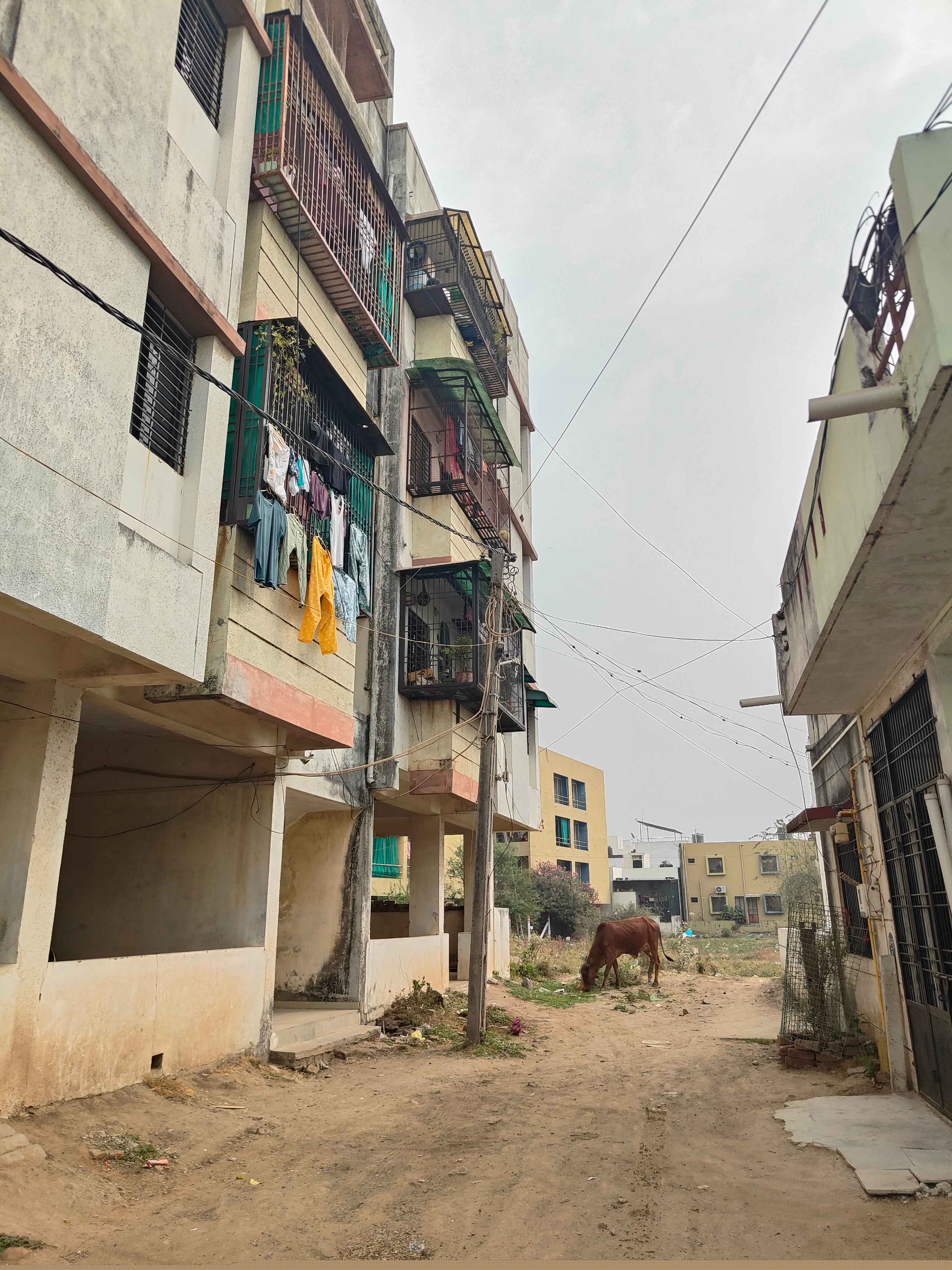 Bank of Baroda Auctions for Residential property in Panchmahal, Gujarat image 4 of 5 in GIDC Halol 2, Panchmahal | Bank of Baroda auction property