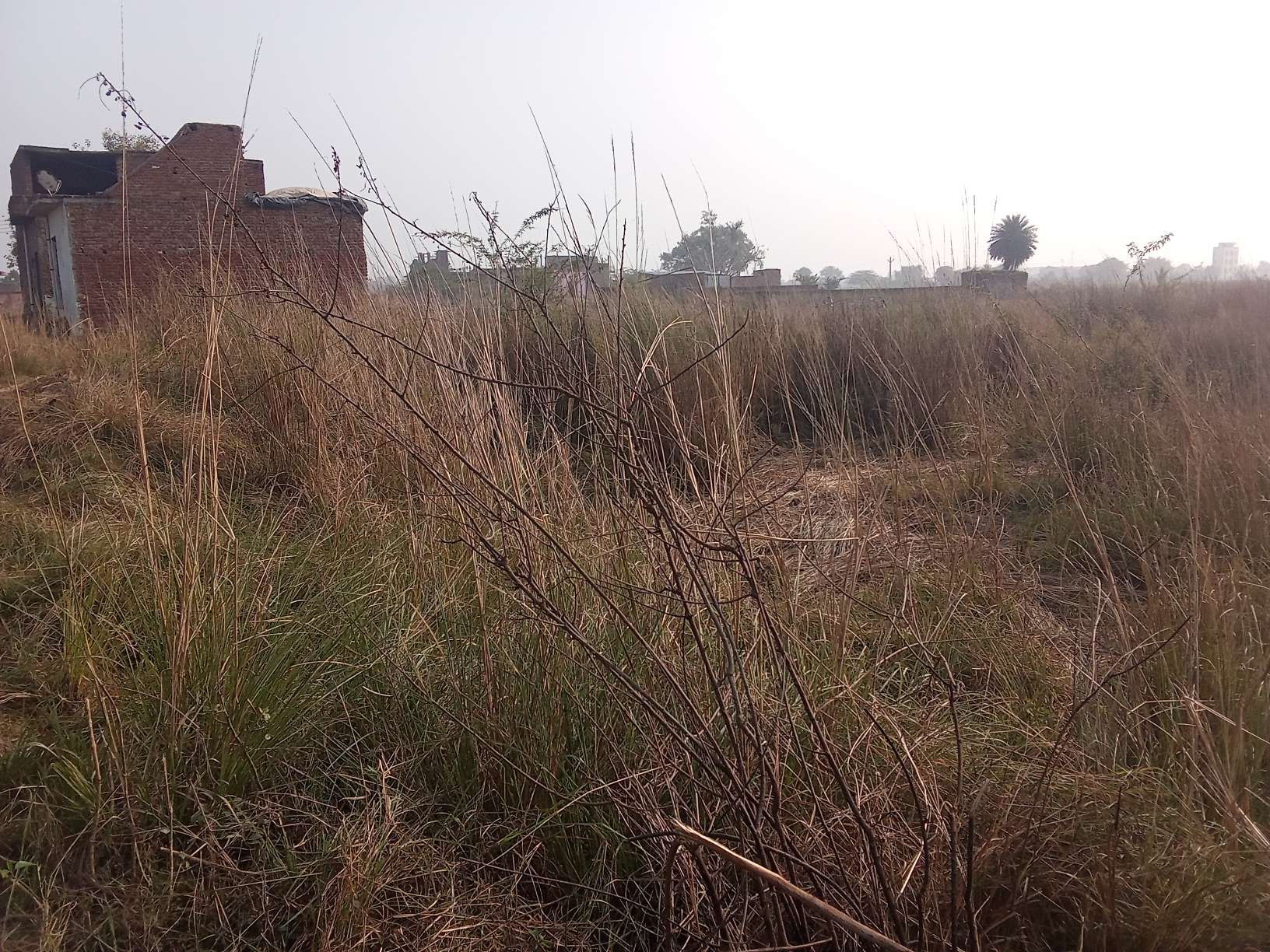 Punjab National Bank Auctions for Residential property in Etah, Uttar Pradesh image 3 of 6 in Bhagipur, Etah | Punjab National Bank auction property