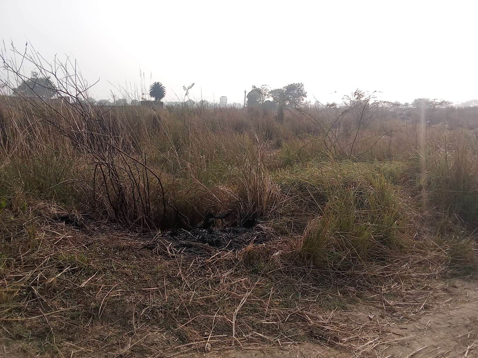 Punjab National Bank Auctions for Residential property in Etah, Uttar Pradesh image 3 of 6 in Etah, Etah | Punjab National Bank auction property