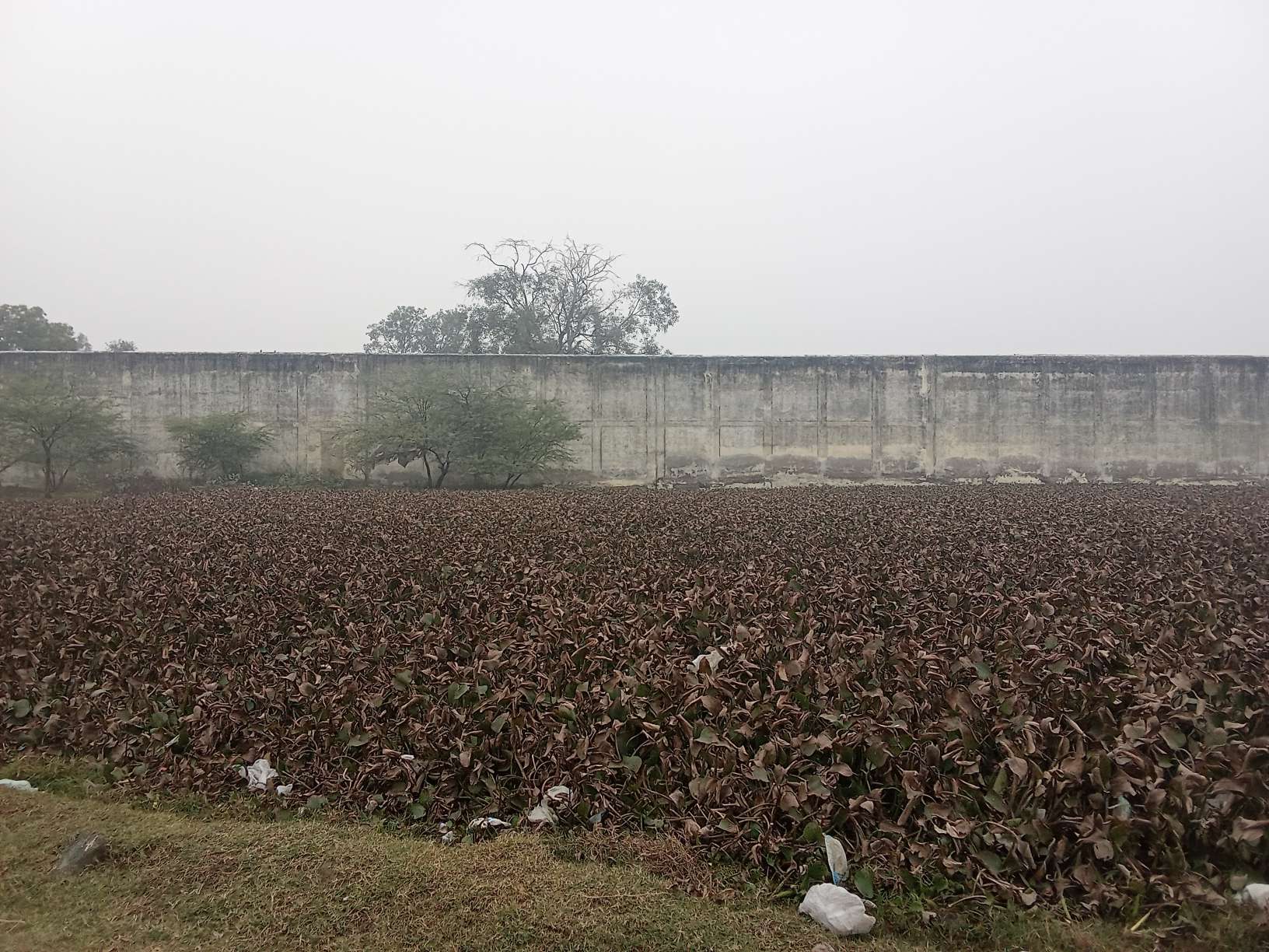 Punjab National Bank Auctions for Residential property in Etah, Uttar Pradesh image 2 of 5 in Etah, Etah | Punjab National Bank auction property