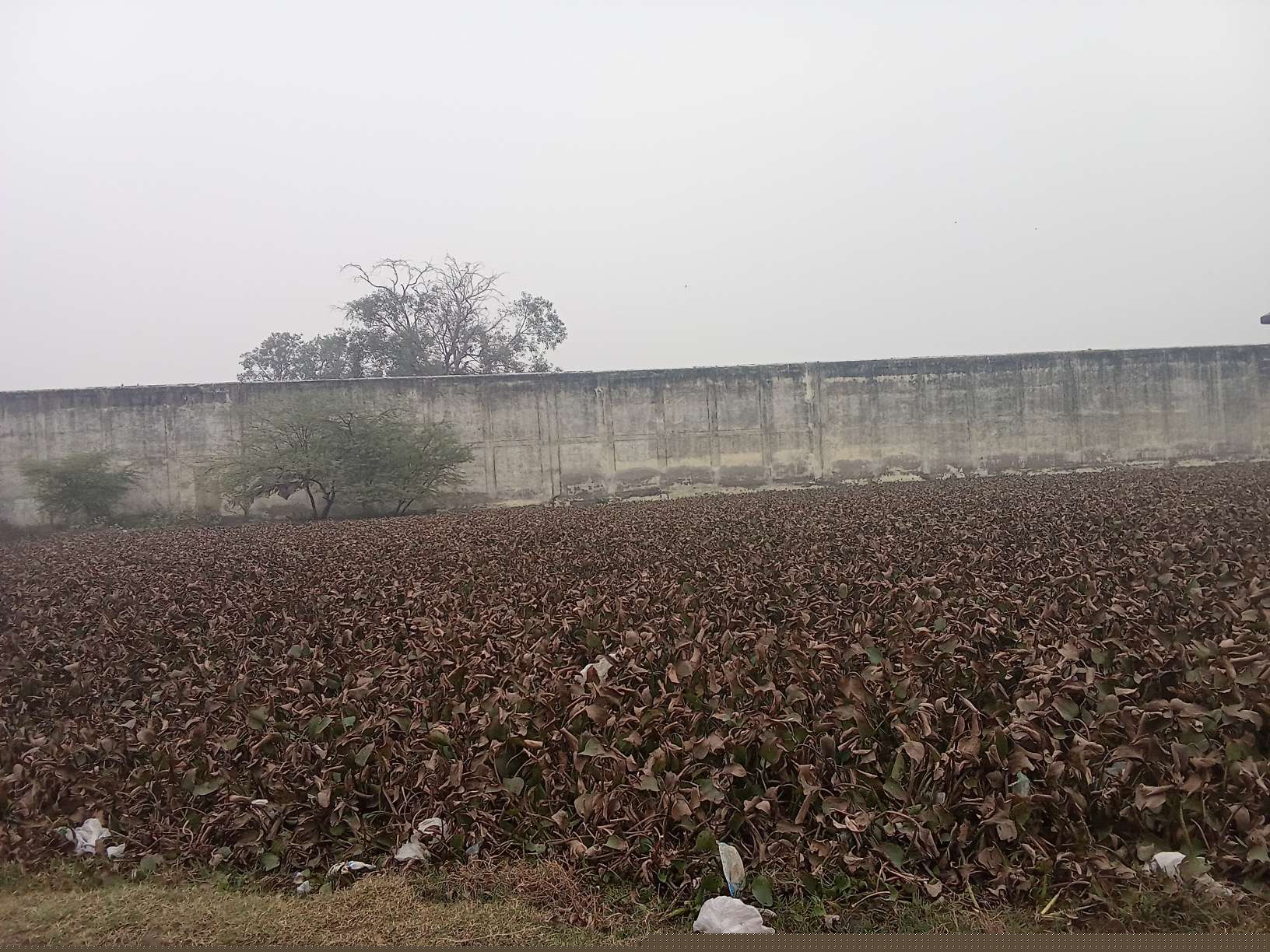 Punjab National Bank Auctions for Residential property in Etah, Uttar Pradesh image 3 of 5 in Etah, Etah | Punjab National Bank auction property