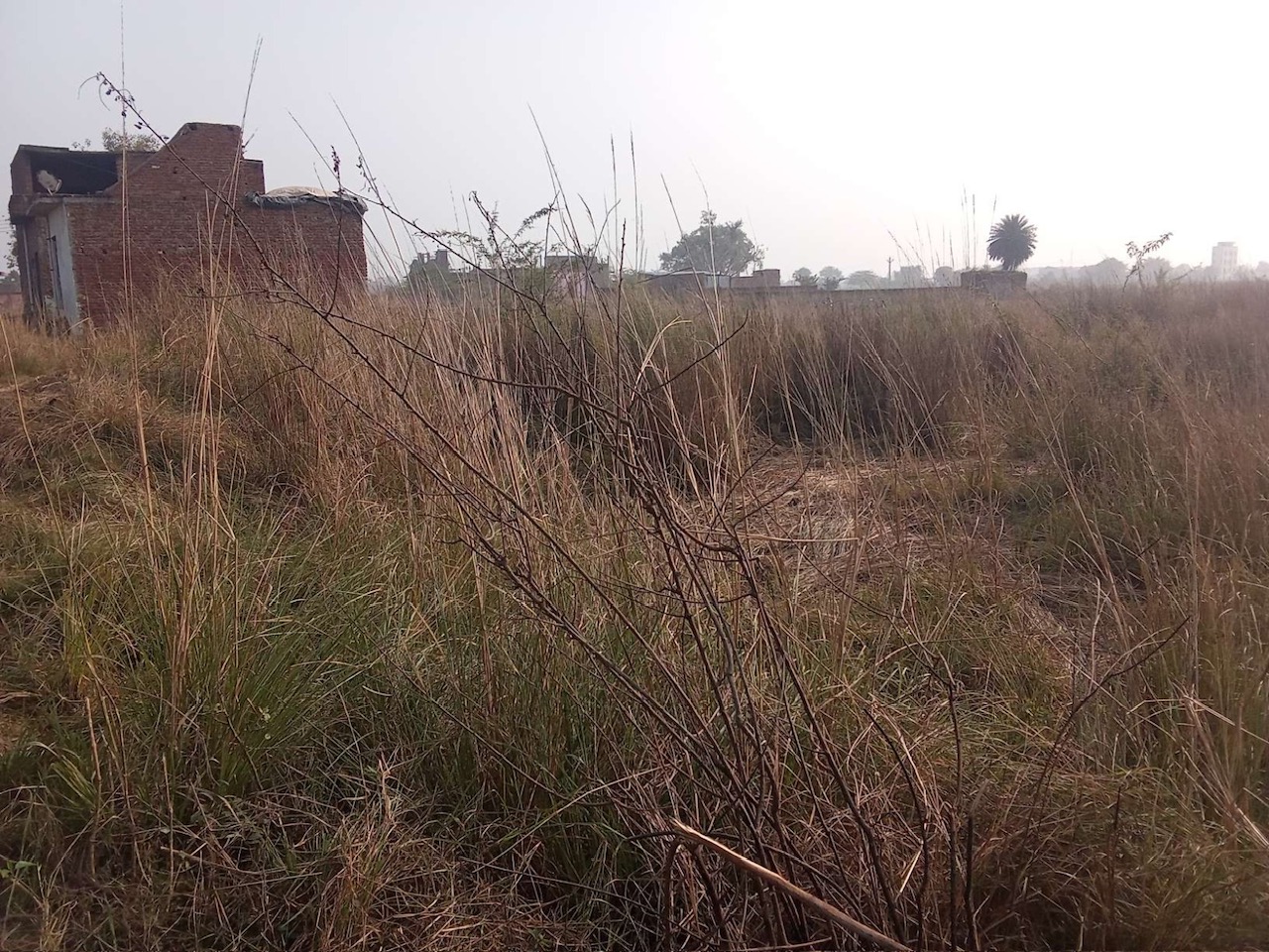 Punjab National Bank Auctions for Residential property in Etah, Uttar Pradesh image 2 of 6 in Etah, Etah | Punjab National Bank auction property