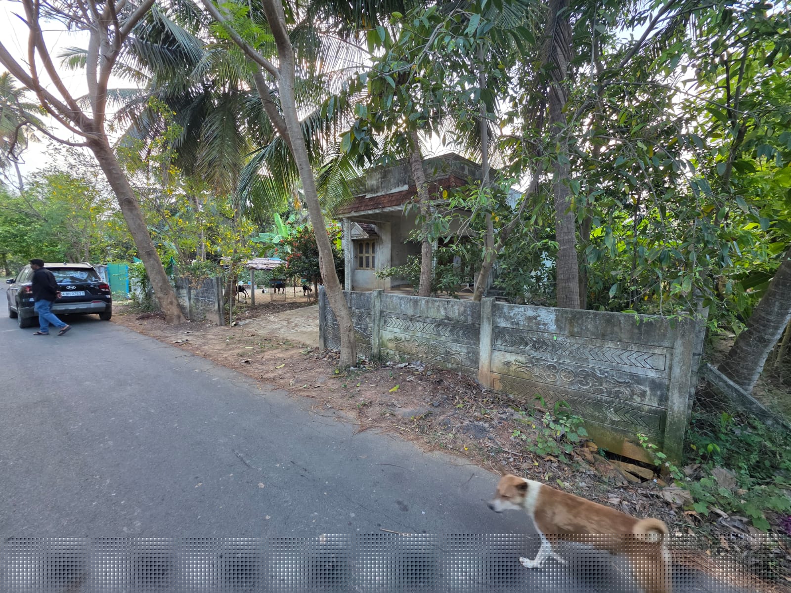 Bank of Baroda Auctions for Residential property in Mayiladuthurai, Tamil Nadu image 2 of 3 in Tharangambadi, Mayiladuthurai | Bank of Baroda auction property