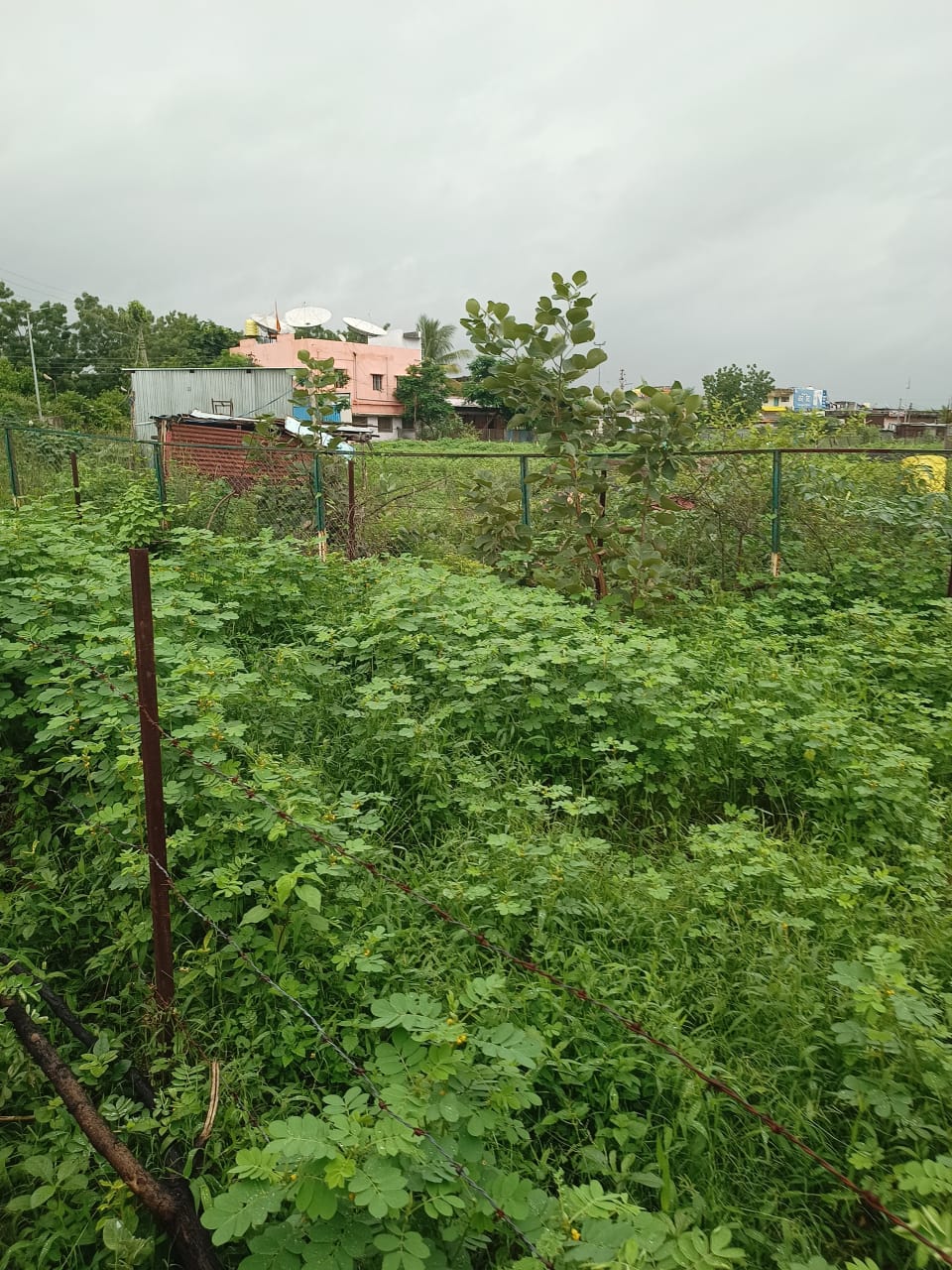 Bank of Maharashtra Auctions for Residential property in Yavatmal, Maharashtra image 2 of 9 in Ghatanji, Yavatmal | Bank of Maharashtra auction property