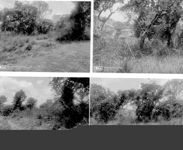 State Bank of India Auctions for Residential property in Thrissur, Kerala image 2 of 2 in Edathiruthy, Thrissur | State Bank of India auction property