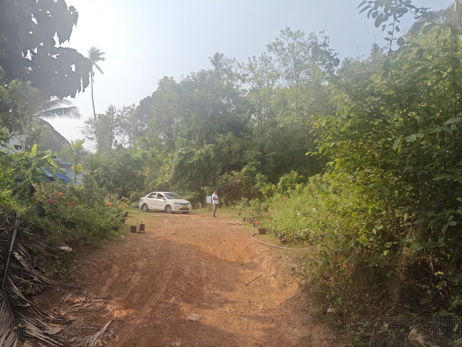 Bank of India Auctions for Residential property in Kozhikode, Kerala image 2 of 3 in Keezhariyur, Kozhikode | Bank of India auction property