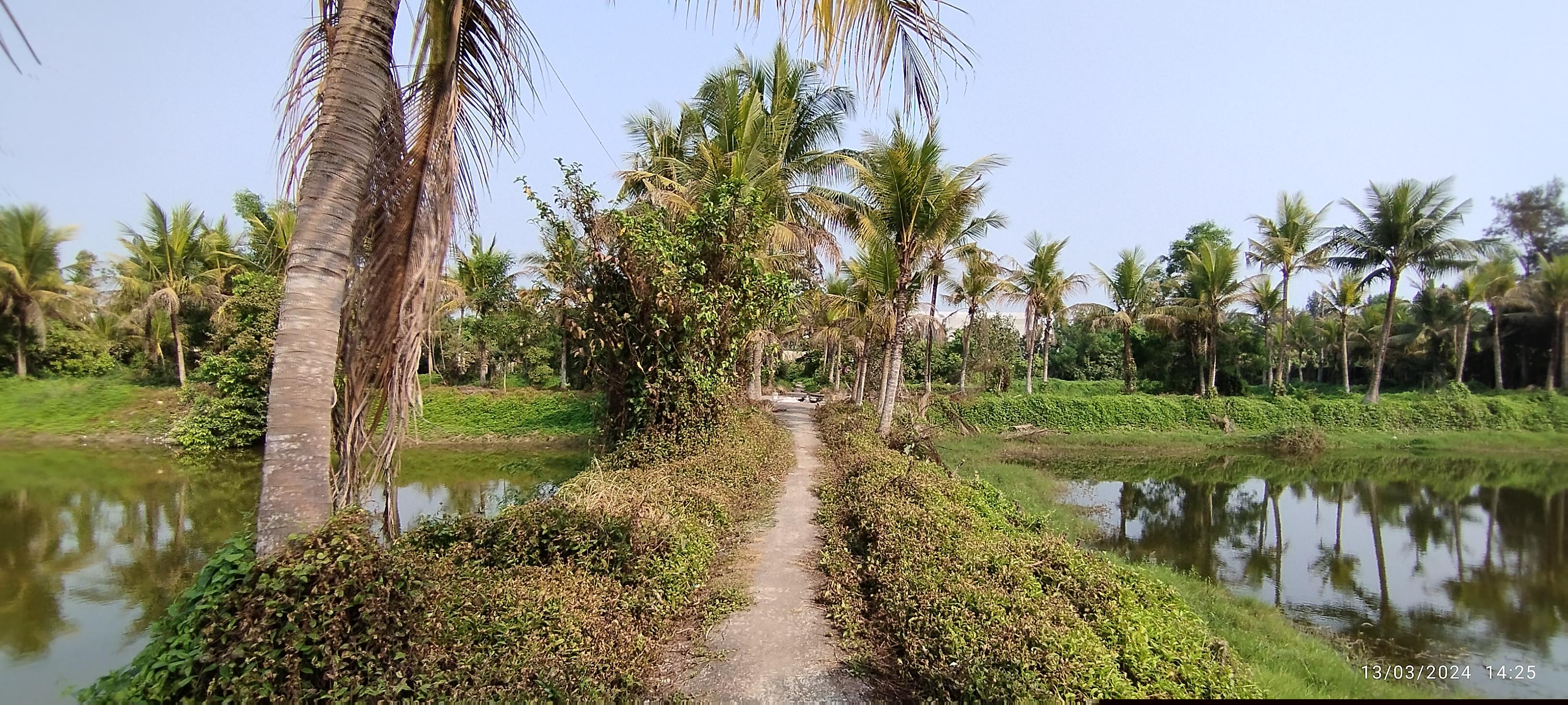 Punjab National Bank Auctions for Industrials property in South 24 Parganas, West Bengal image 7 of 8 in Ajodhyanagar, South 24 Parganas | Punjab National Bank auction property