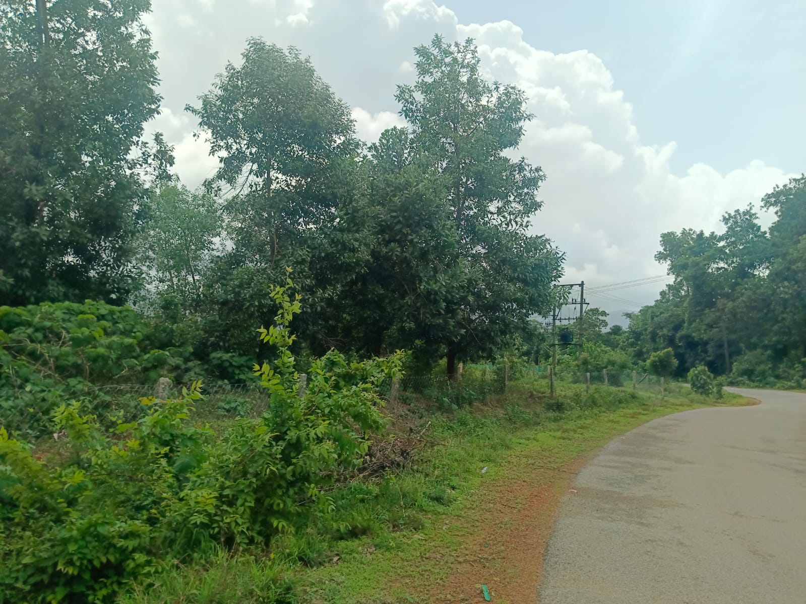 Bank of Baroda Auctions for Industrials property in Udupi, Karnataka image 2 of 6 in Kundapura, Udupi | Bank of Baroda auction property