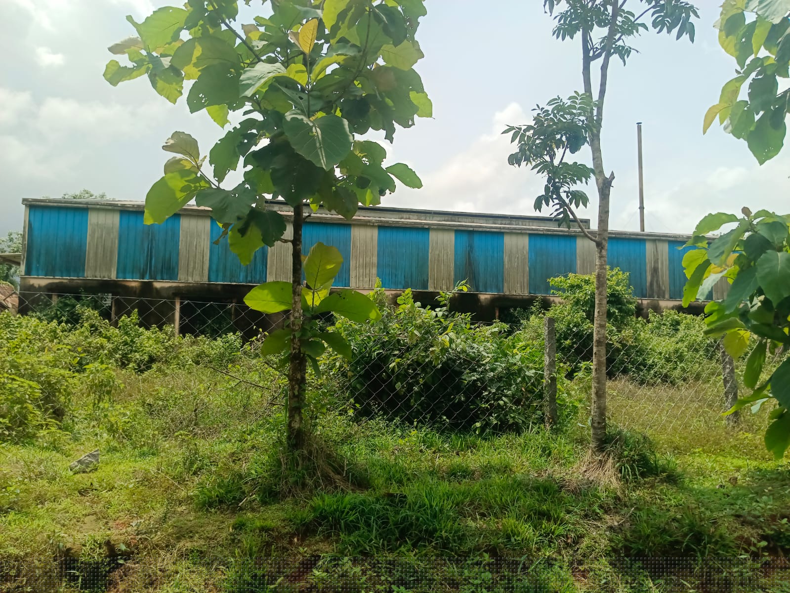 Bank of Baroda Auctions for Industrials property in Udupi, Karnataka image 5 of 6 in Kundapura, Udupi | Bank of Baroda auction property
