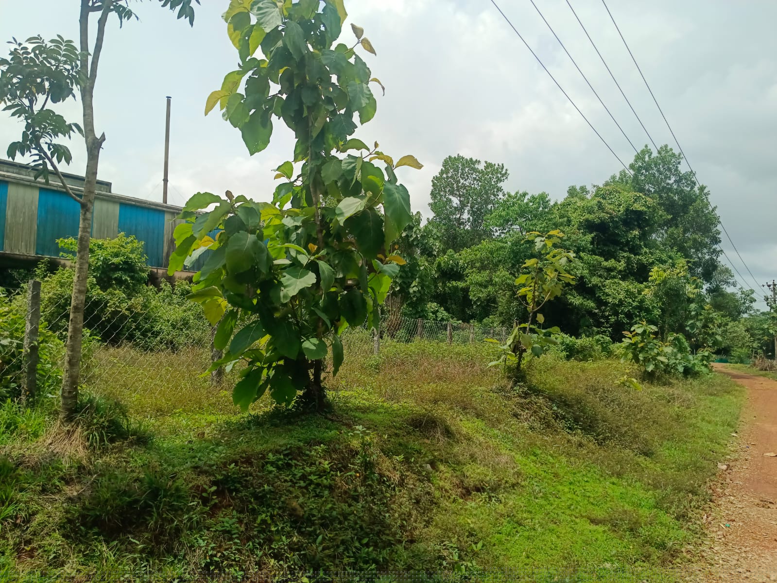 Bank of Baroda Auctions for Industrials property in Udupi, Karnataka image 6 of 6 in Kundapura, Udupi | Bank of Baroda auction property