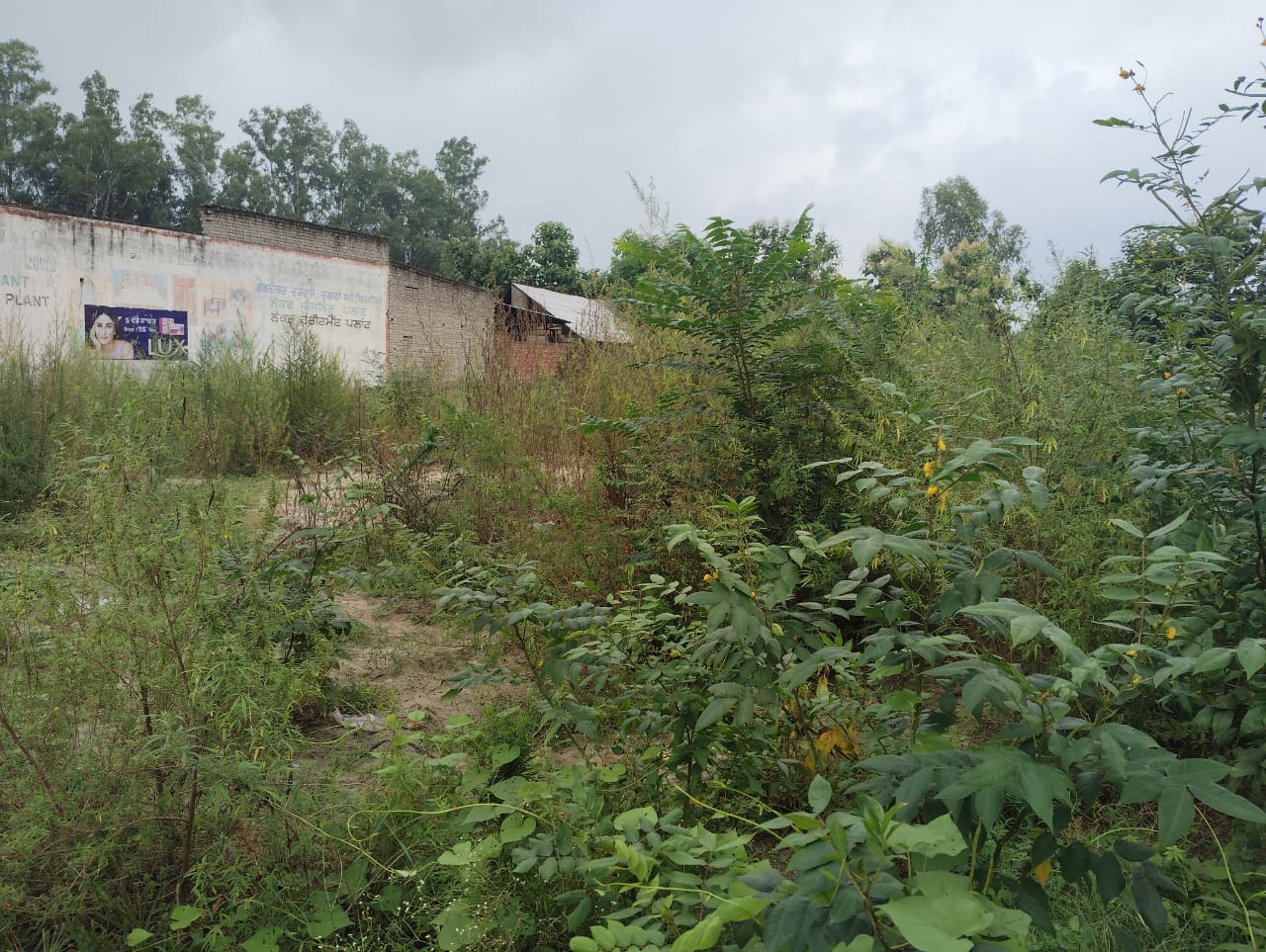 Punjab National Bank Auctions for Commercial property in Hoshiarpur, Punjab image 10 of 10 in Hoshiarpur, Hoshiarpur | Punjab National Bank auction property