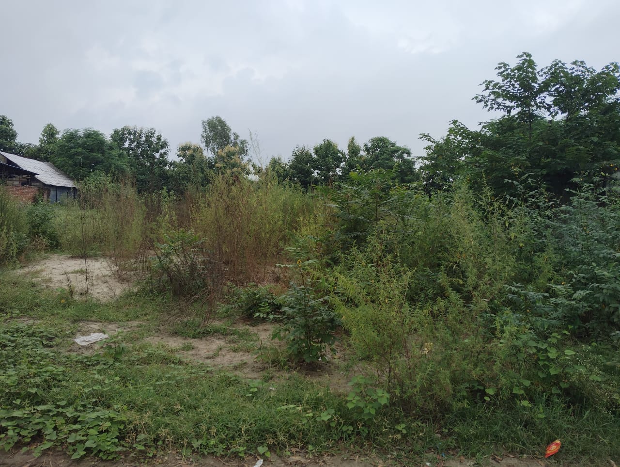 Punjab National Bank Auctions for Commercial property in Hoshiarpur, Punjab image 9 of 10 in Hoshiarpur, Hoshiarpur | Punjab National Bank auction property