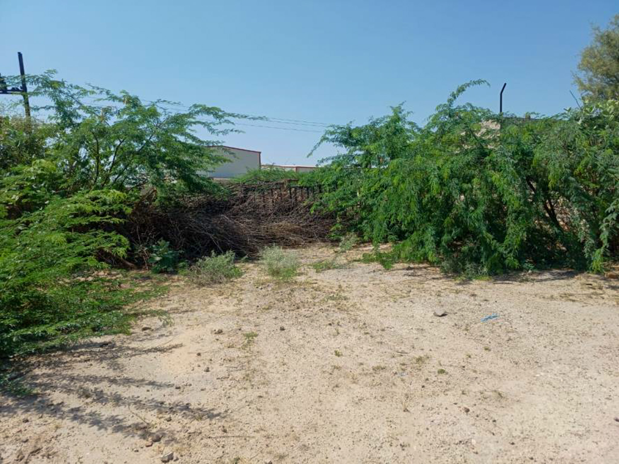 State Bank of India Auctions for Industrials property in Bikaner, Rajasthan image 21 of 22 in Lunkaransar, Bikaner | State Bank of India auction property