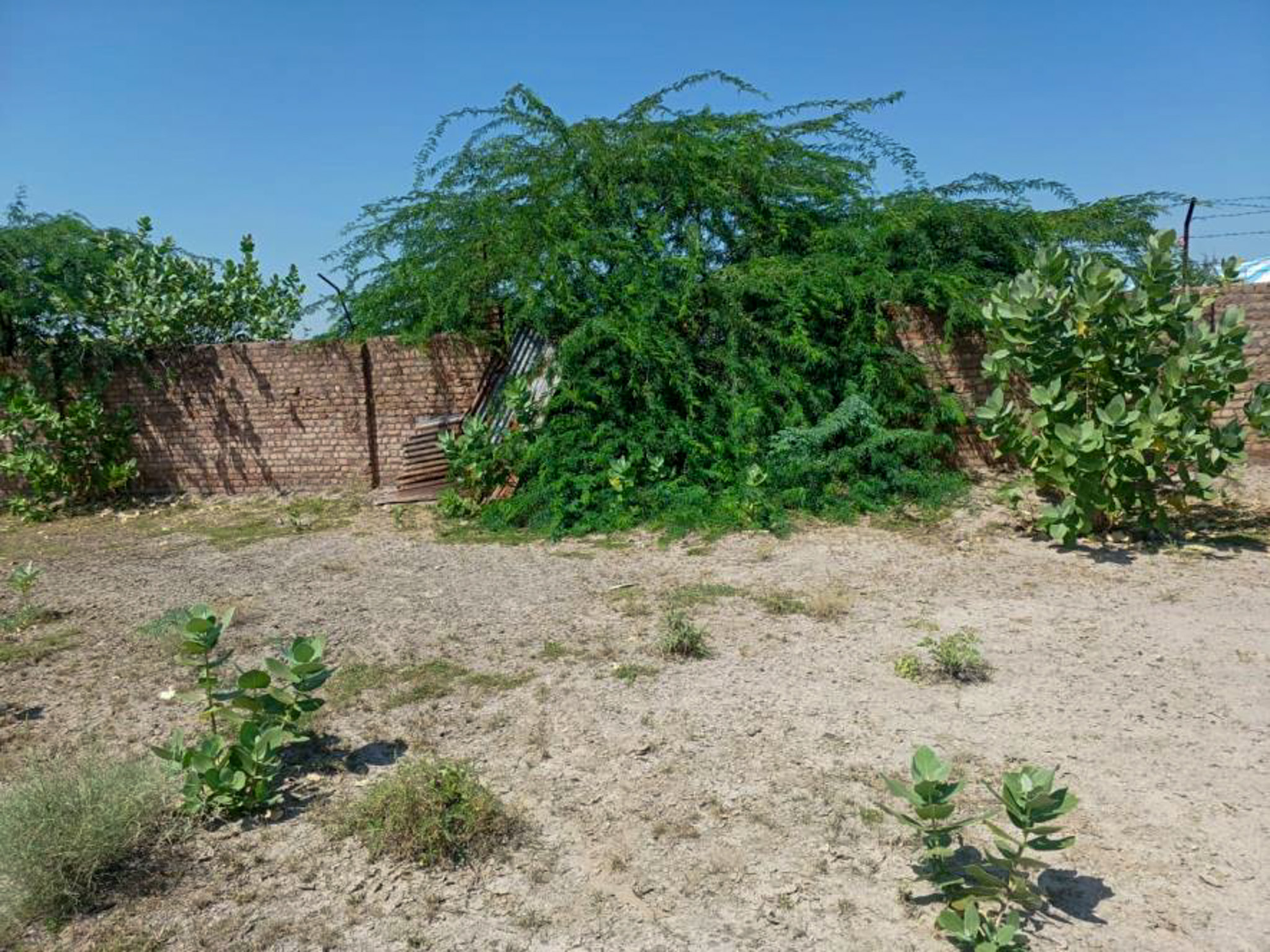 State Bank of India Auctions for Industrials property in Bikaner, Rajasthan image 4 of 22 in Lunkaransar, Bikaner | State Bank of India auction property