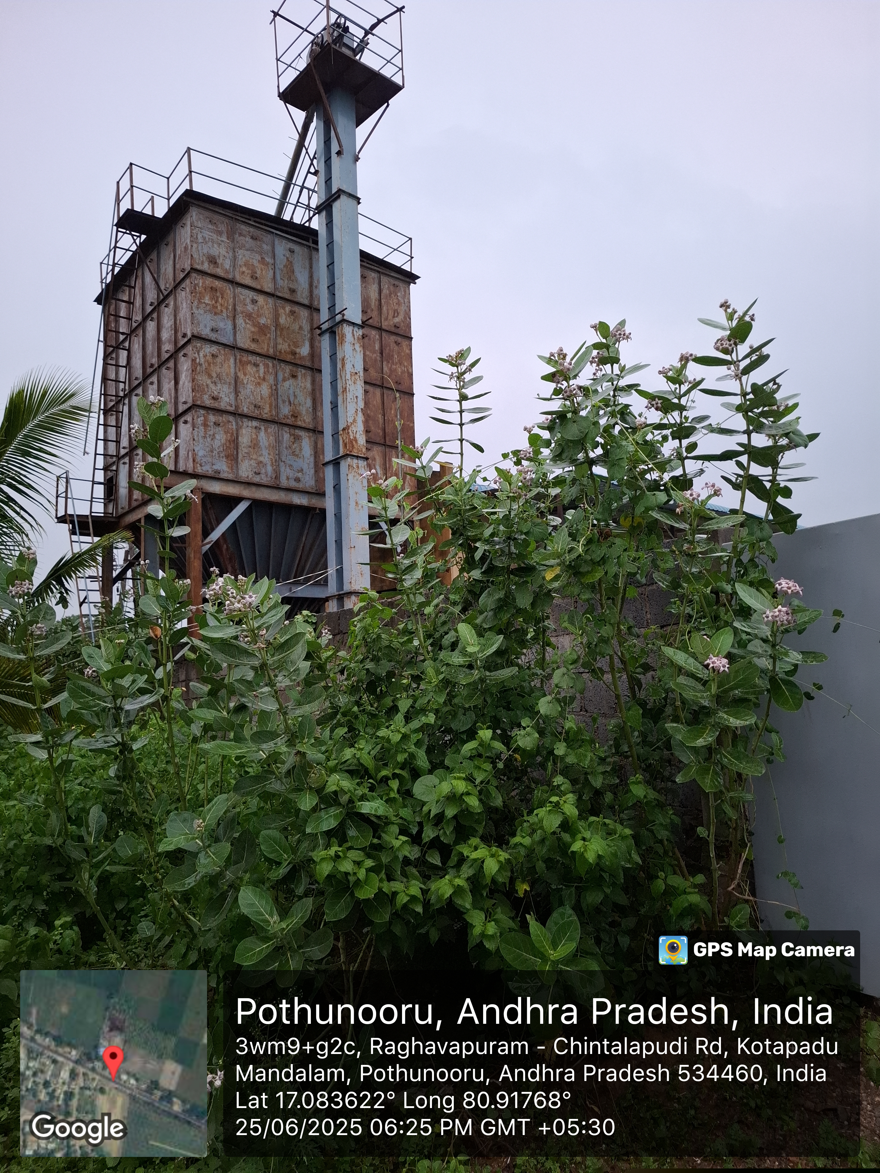Canara Bank Auctions for Residential property in Eluru, Andhra Pradesh image 2 of 5 in Nuzvid, Eluru | Canara Bank auction property