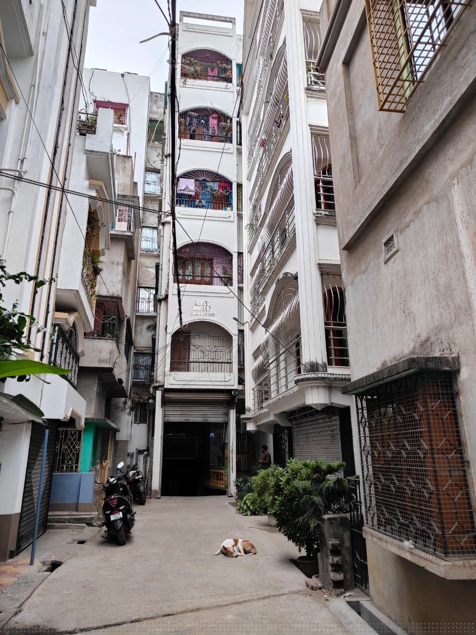 Punjab National Bank Auctions for Residential property in Murshidabad, West Bengal image 5 of 5 in Berhampore, Murshidabad | Punjab National Bank auction property