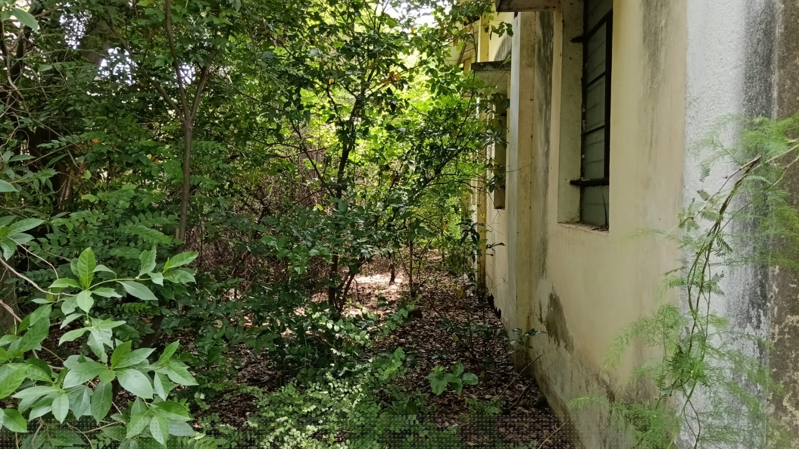 Bank of Baroda Auctions for Residential property in Chennai, Tamil Nadu image 4 of 8 in Chennai, Chennai | Bank of Baroda auction property