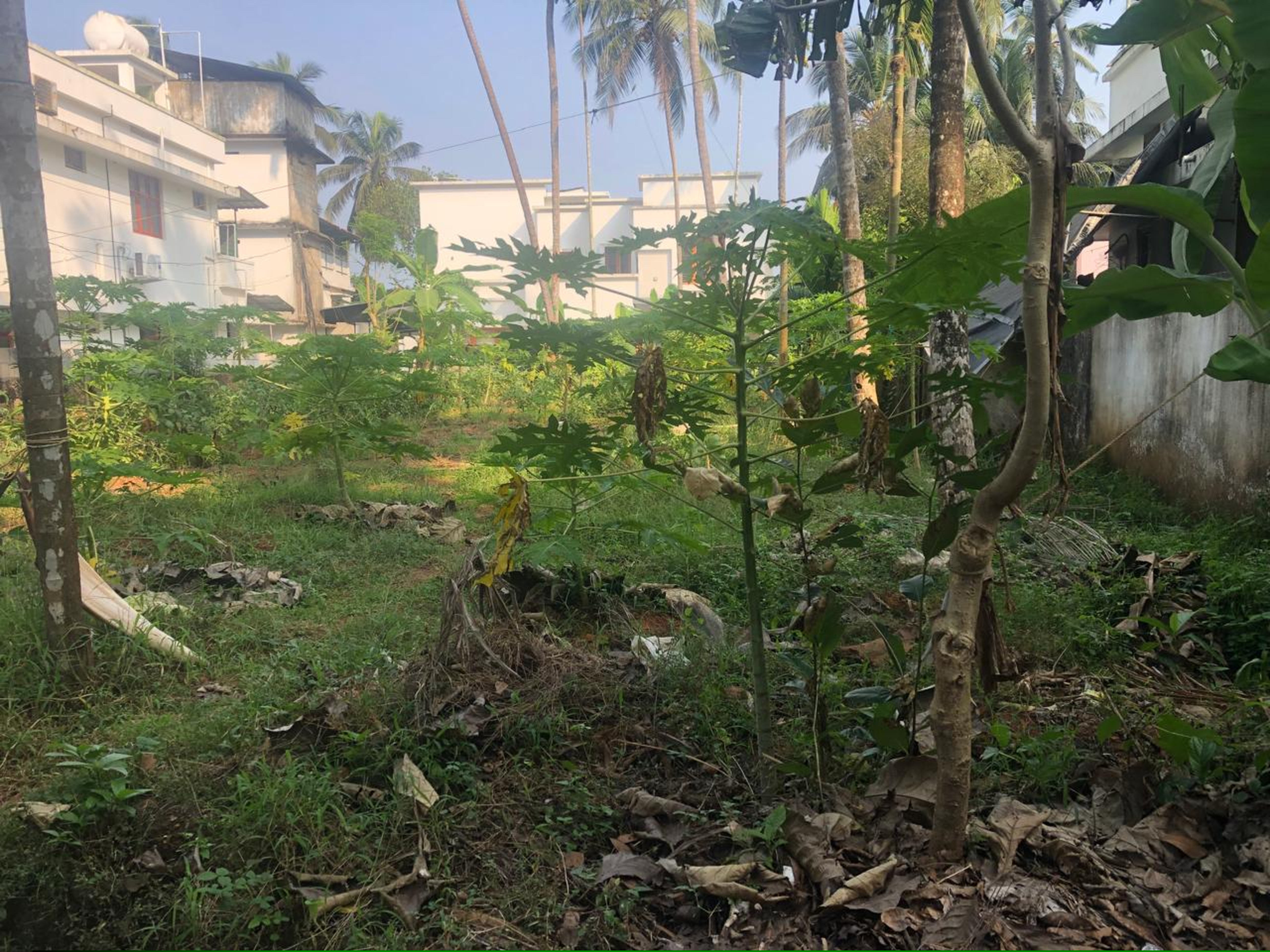 Punjab National Bank Auctions for Residential property in Kozhikode, Kerala image 2 of 7 in Chelannur, Kozhikode | Punjab National Bank auction property